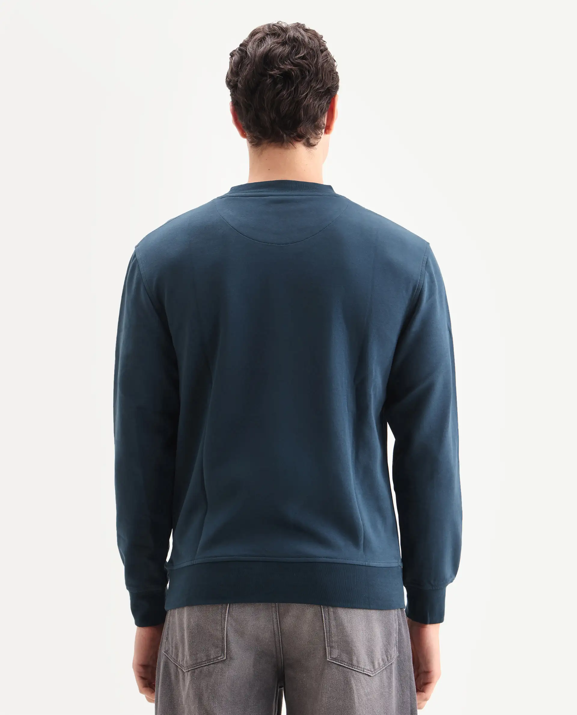 Rare Rabbit Men's Barak Teal Cotton Graphic Print Regular Fit Full Sleeve Crew Neck Sweatshirt - Image 7