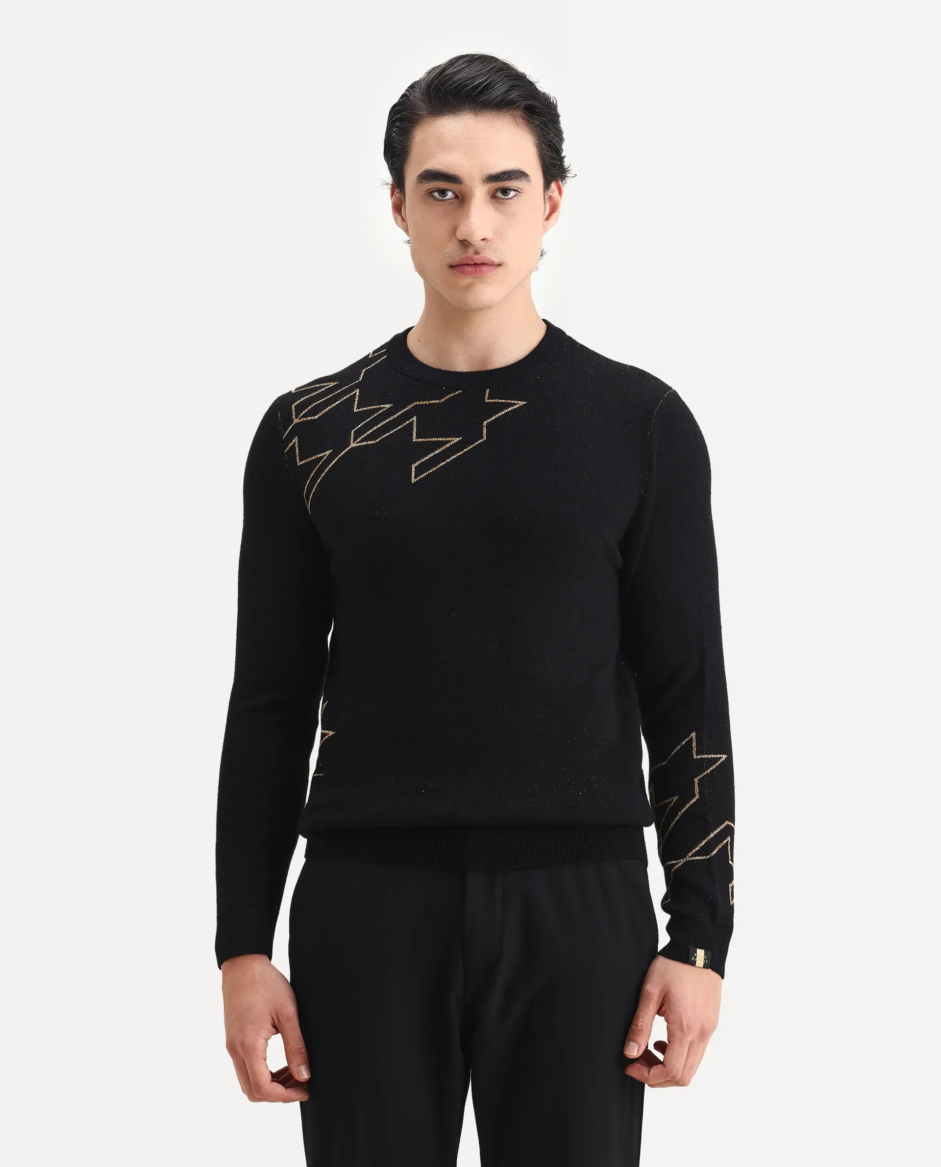 Rare Rabbit Men's Baset Black Polyester Jacquard Regular Fit Full Sleeve Crew Neck Sweater - Image 4