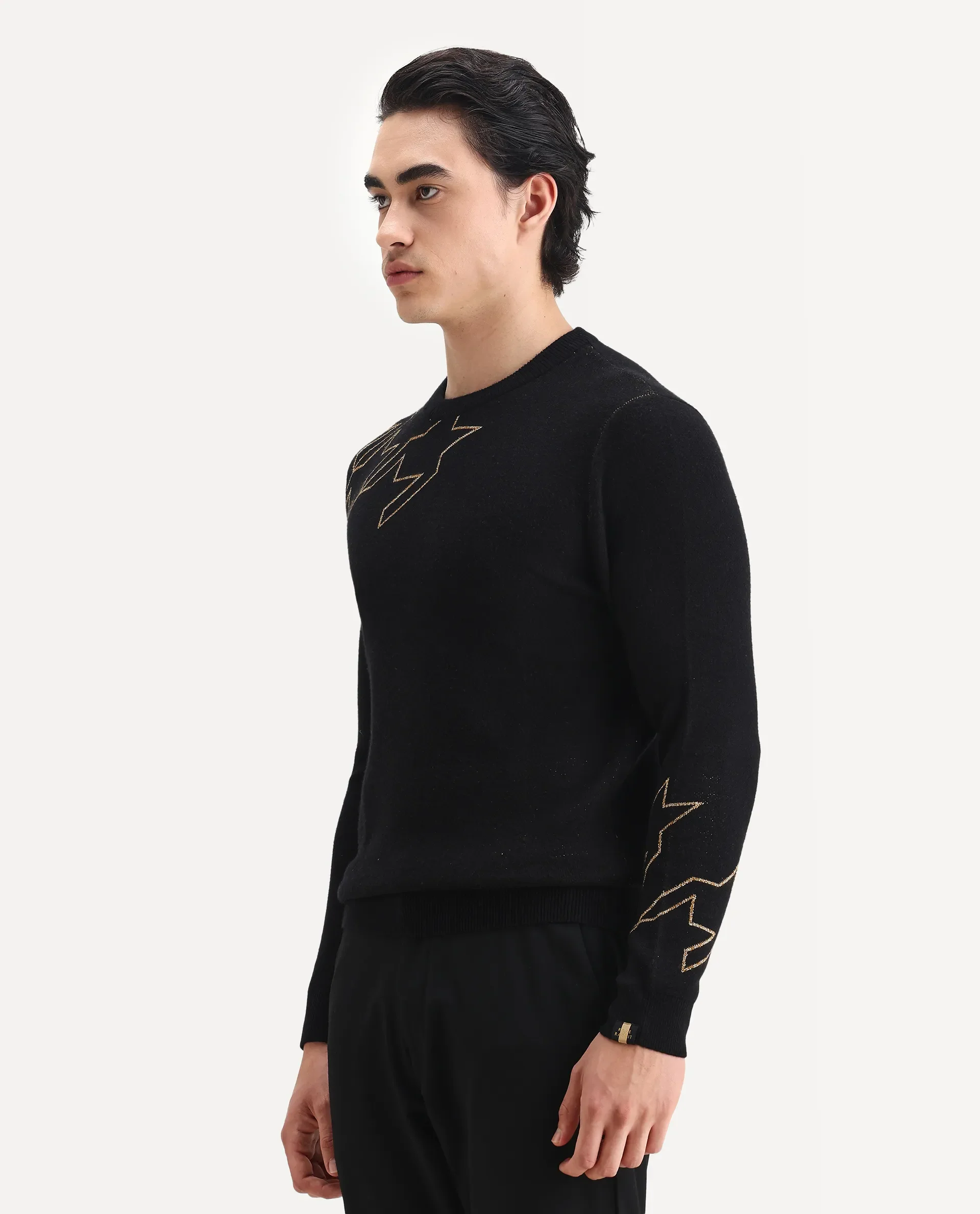 Rare Rabbit Men's Baset Black Polyester Jacquard Regular Fit Full Sleeve Crew Neck Sweater - Image 5