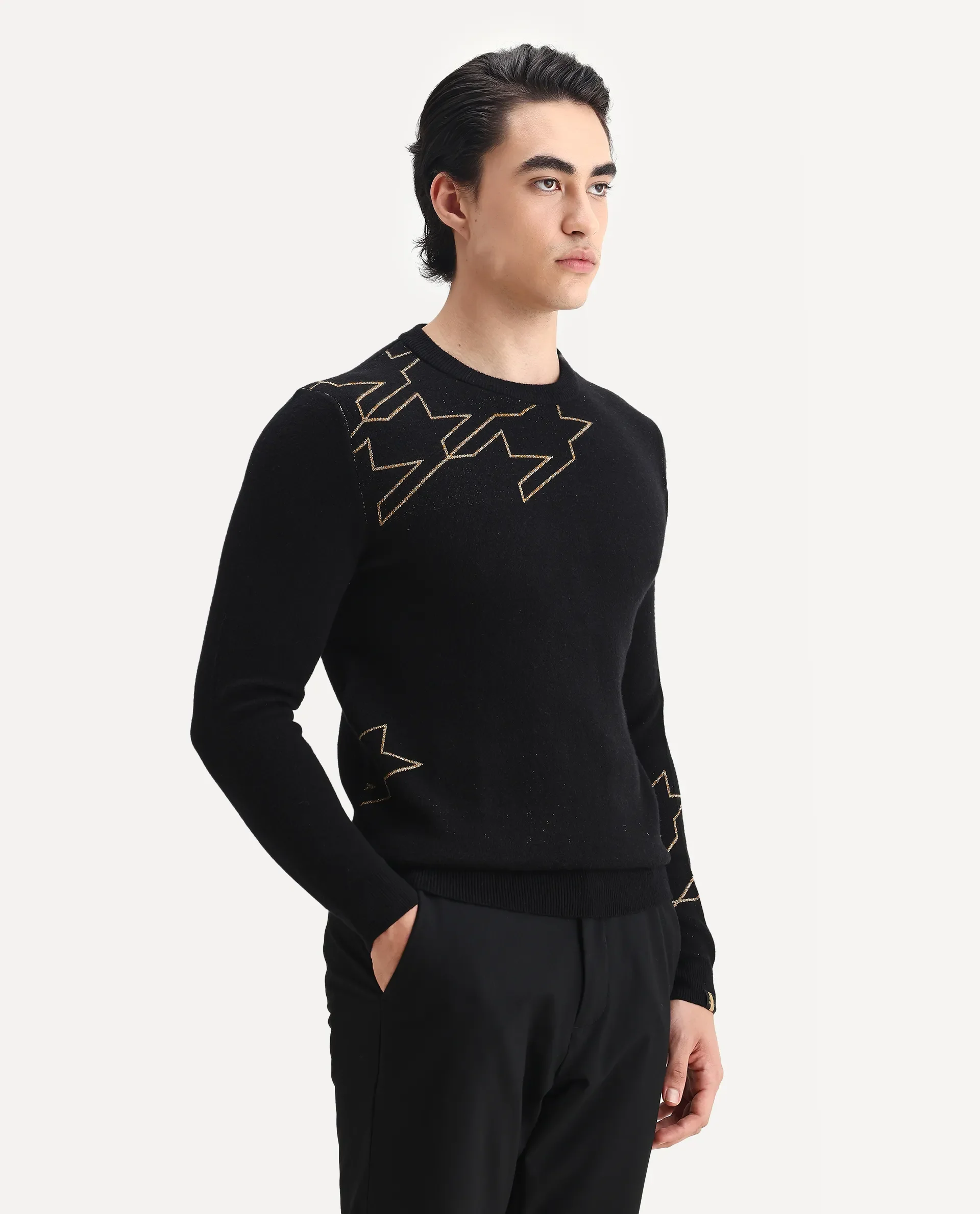 Rare Rabbit Men's Baset Black Polyester Jacquard Regular Fit Full Sleeve Crew Neck Sweater - Image 6