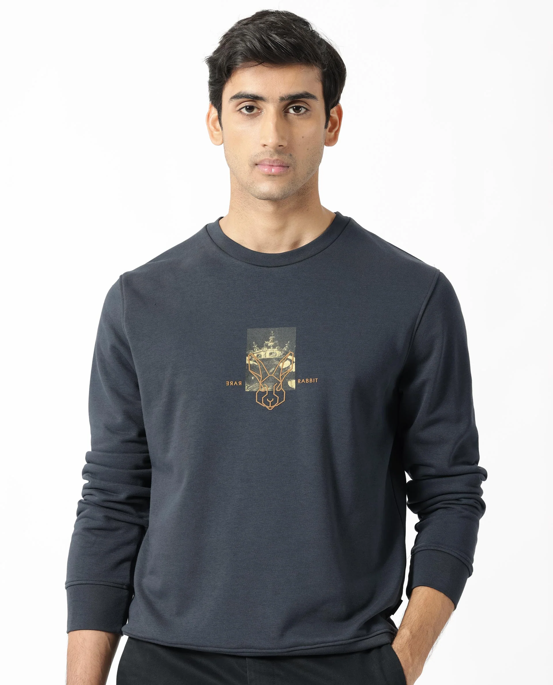 Rare Rabbit Men's Belmontt Grey Cotton Graphic Print Regular Fit Full Sleeve Crew Neck Sweatshirt - Image 3