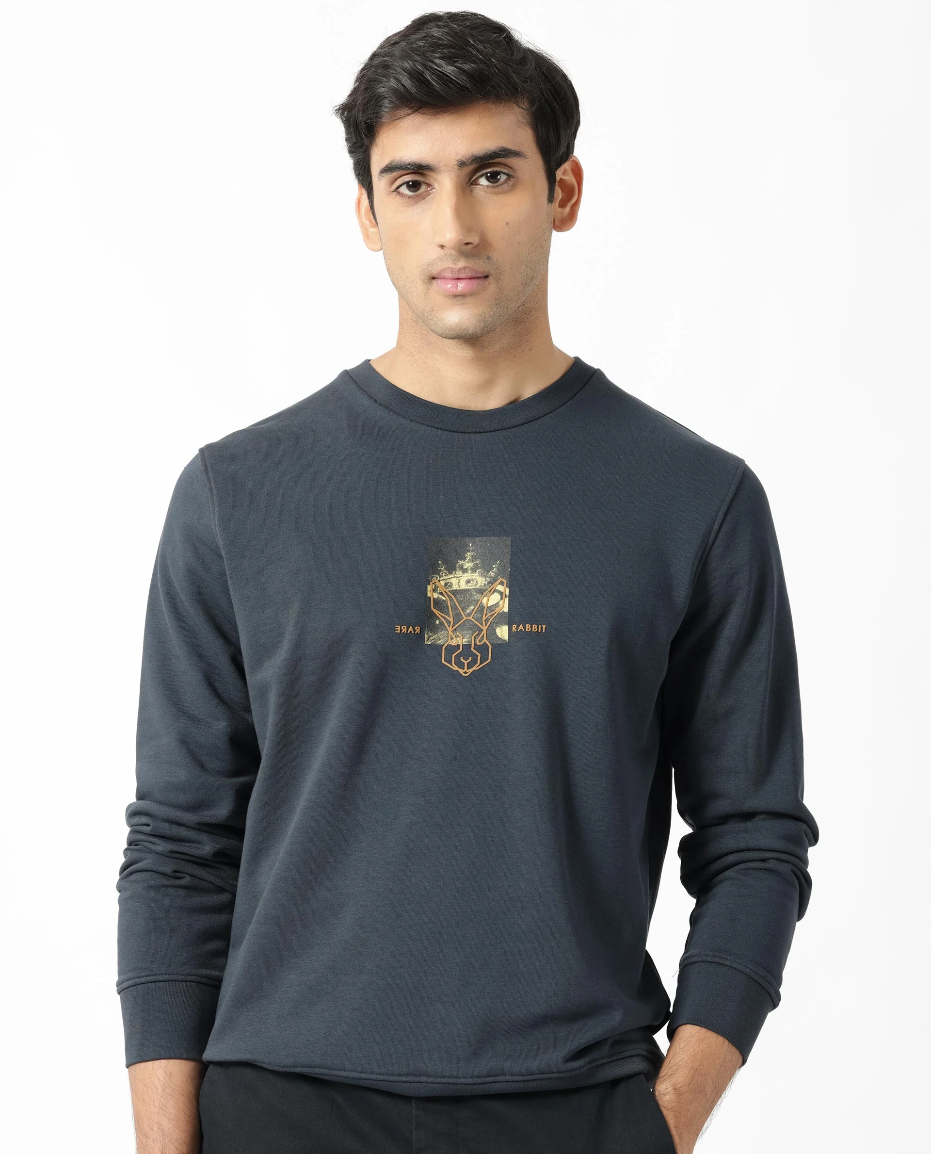 Rare Rabbit Men's Belmontt Grey Cotton Graphic Print Regular Fit Full Sleeve Crew Neck Sweatshirt - Image 4