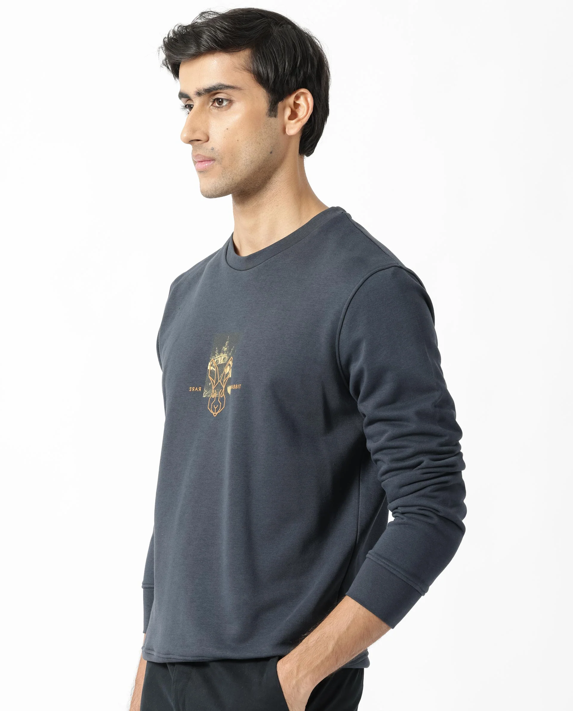Rare Rabbit Men's Belmontt Grey Cotton Graphic Print Regular Fit Full Sleeve Crew Neck Sweatshirt - Image 6