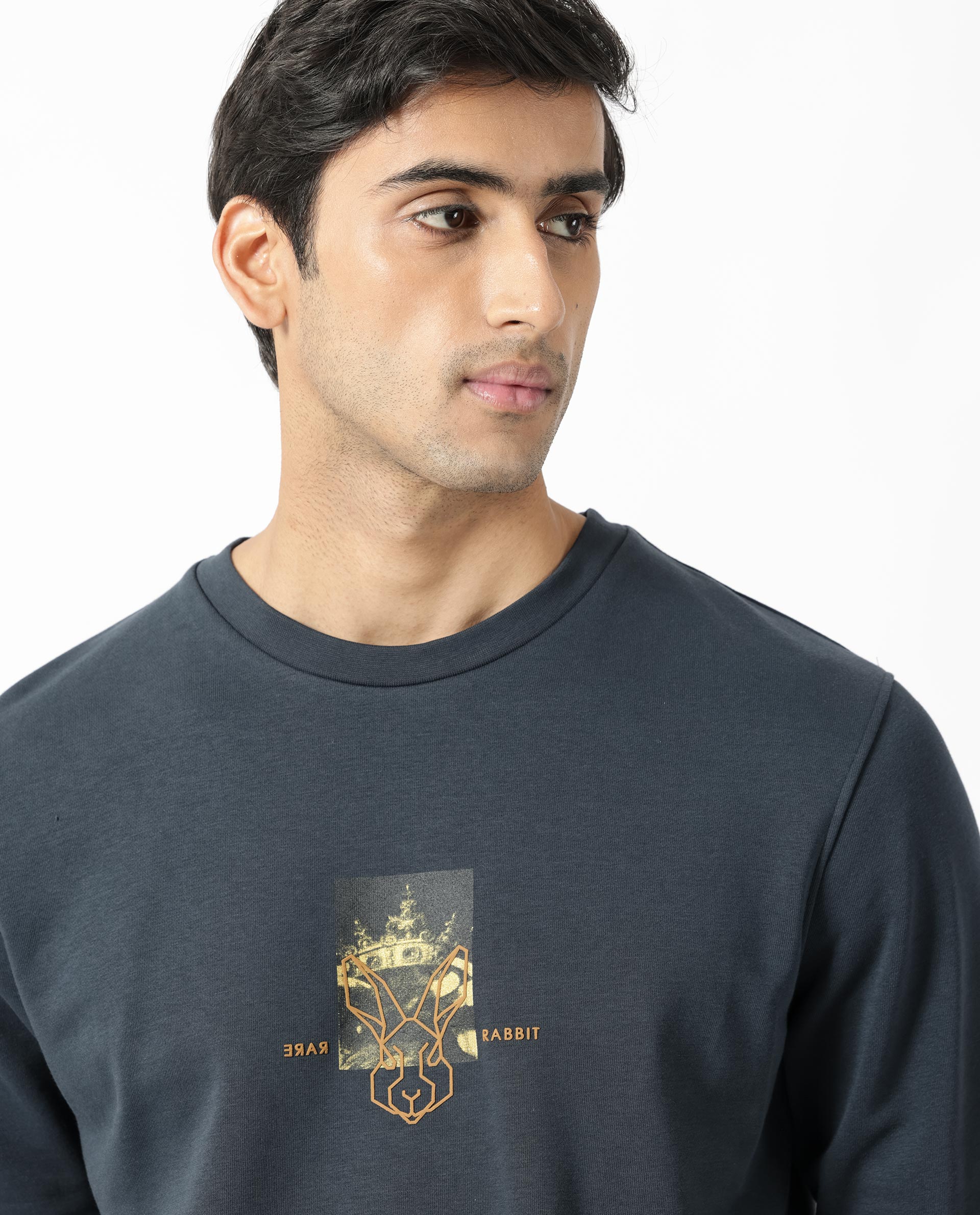 Rare Rabbit Men's Belmontt Grey Cotton Graphic Print Regular Fit Full Sleeve Crew Neck Sweatshirt - Image 7