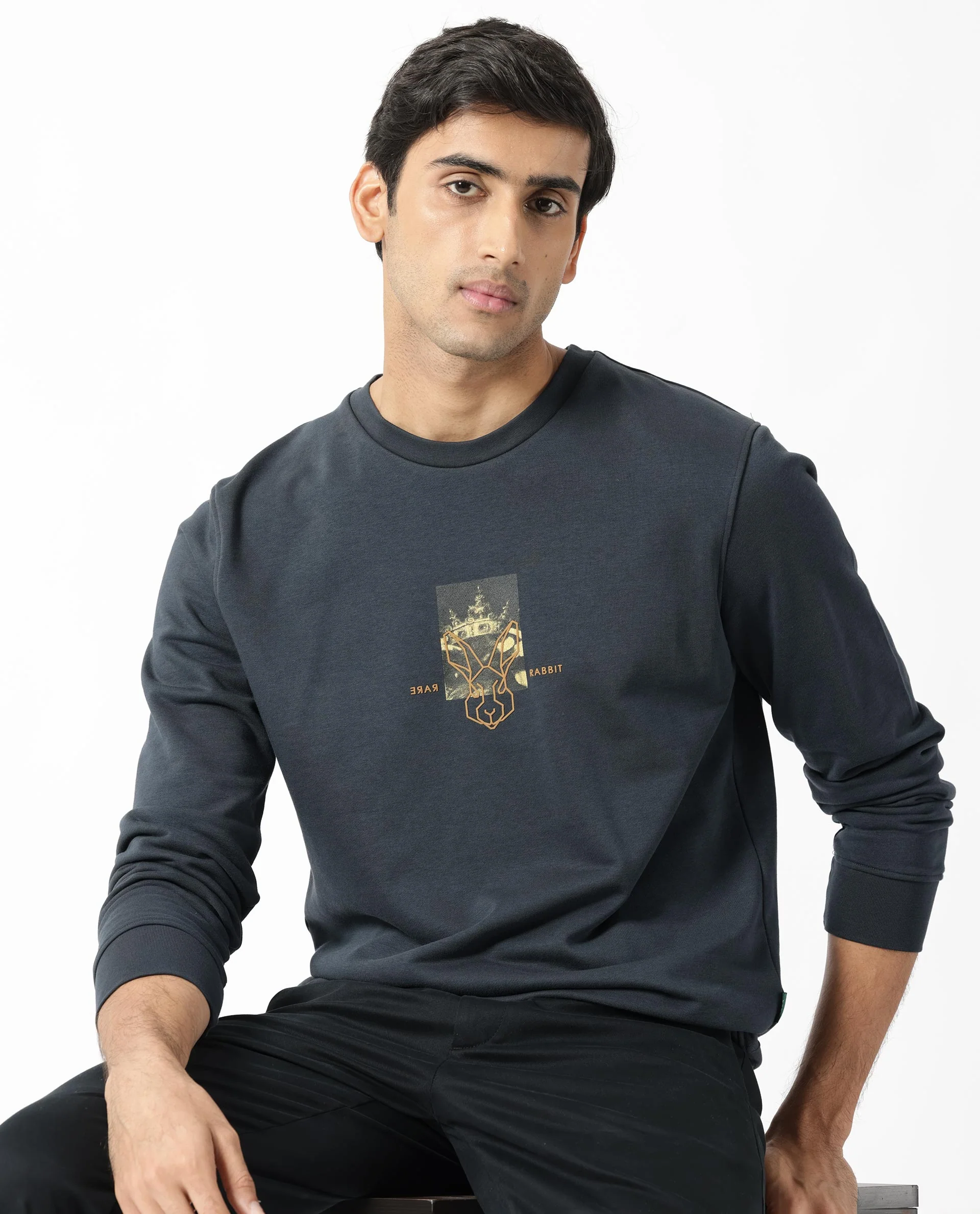 Rare Rabbit Men's Belmontt Grey Cotton Graphic Print Regular Fit Full Sleeve Crew Neck Sweatshirt - Image 8
