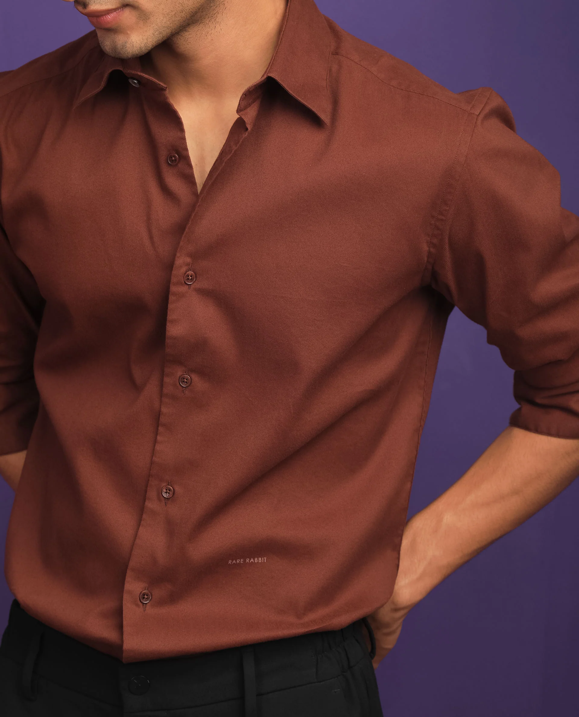 Rare Rabbit Men's Bicton Brown Cotton Plain Regular Fit Full Sleeve Collared Shirt - Image 3