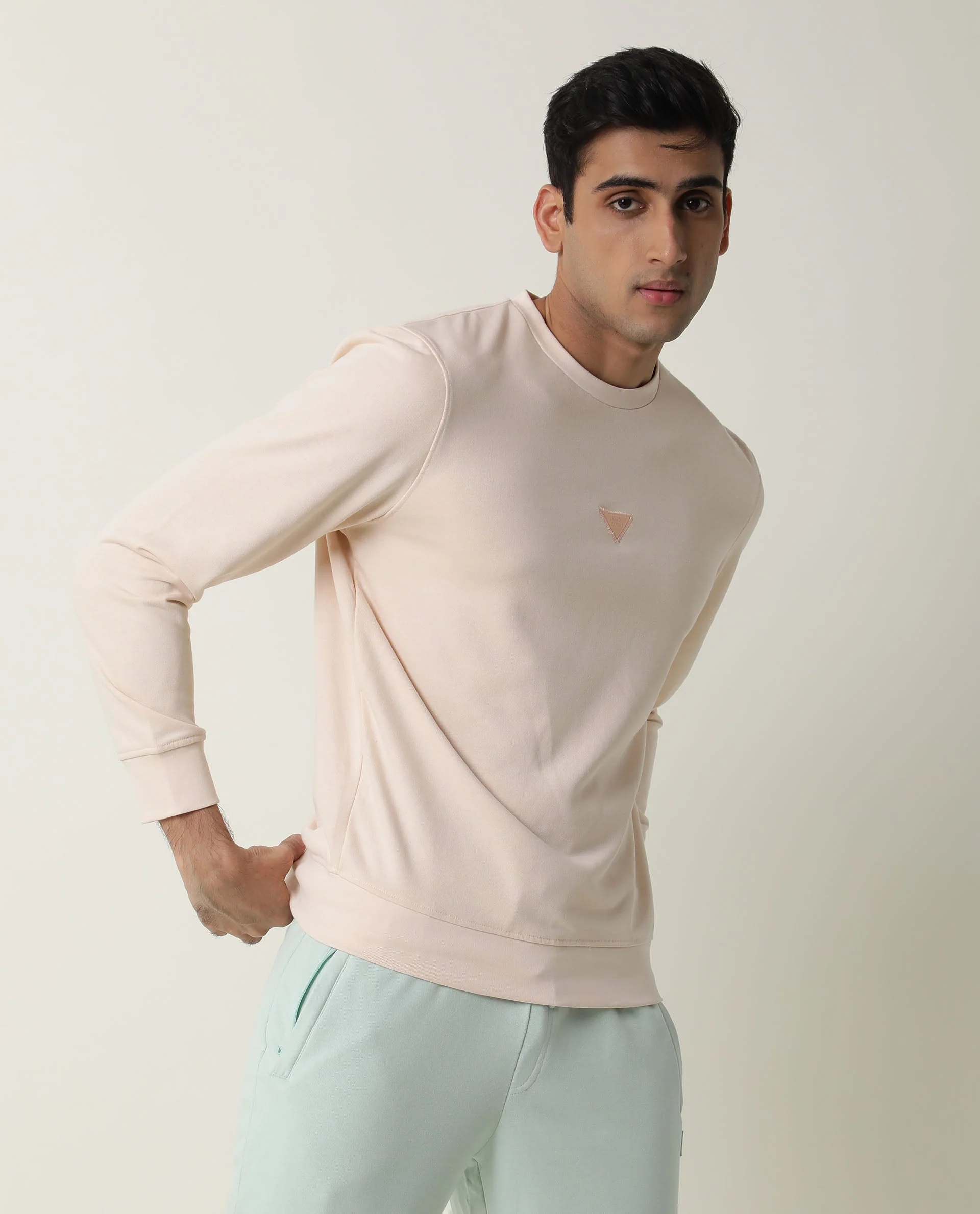 Rare Rabbit Men's Bliss Beige Cotton Plain Slim Fit Full Sleeve Crew Neck Sweatshirt - Image 3