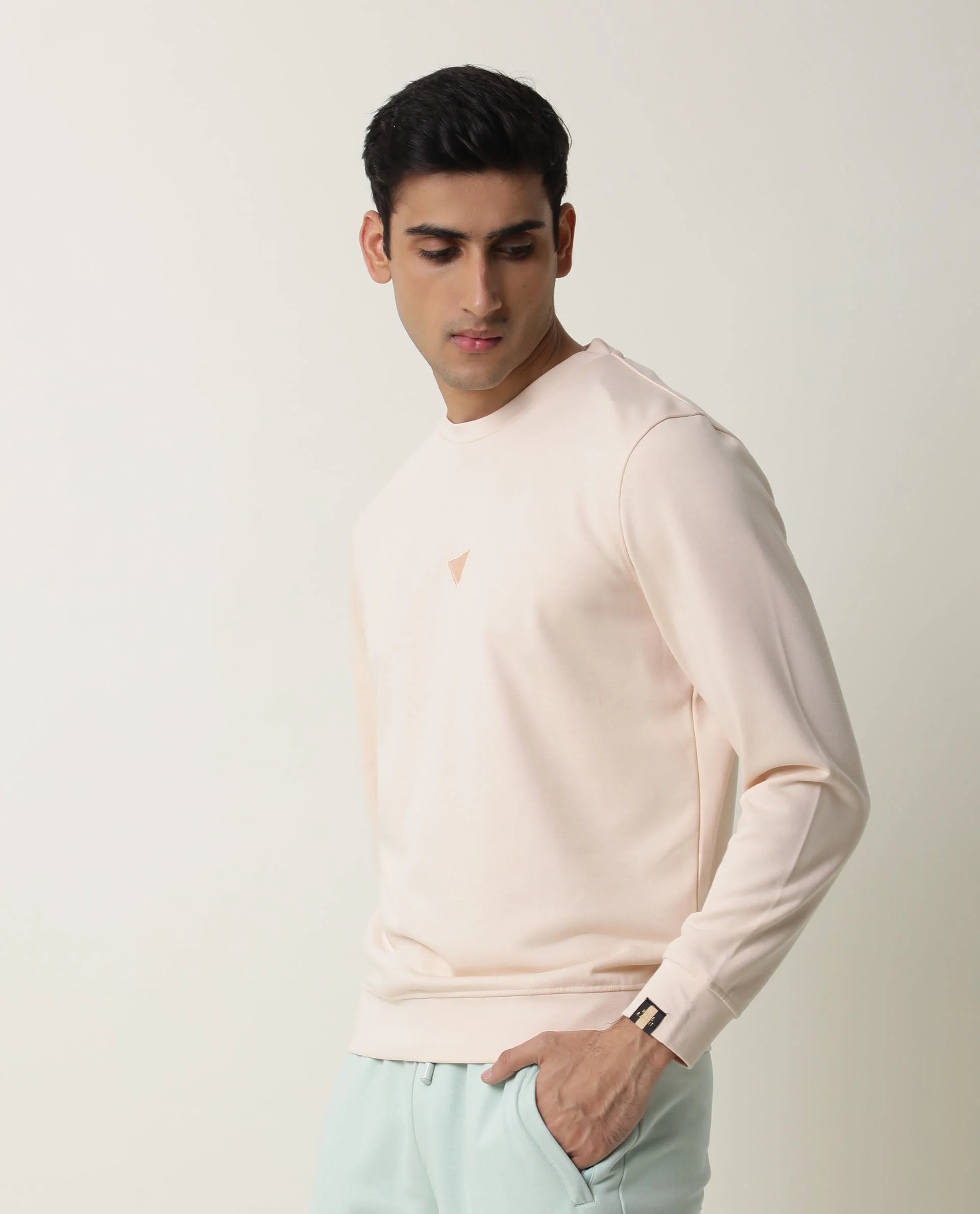Rare Rabbit Men's Bliss Beige Cotton Plain Slim Fit Full Sleeve Crew Neck Sweatshirt - Image 4