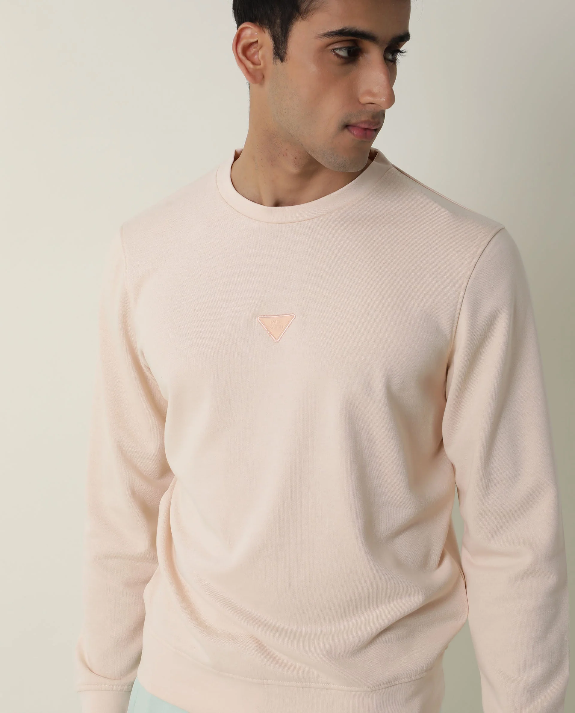 Rare Rabbit Men's Bliss Beige Cotton Plain Slim Fit Full Sleeve Crew Neck Sweatshirt - Image 6