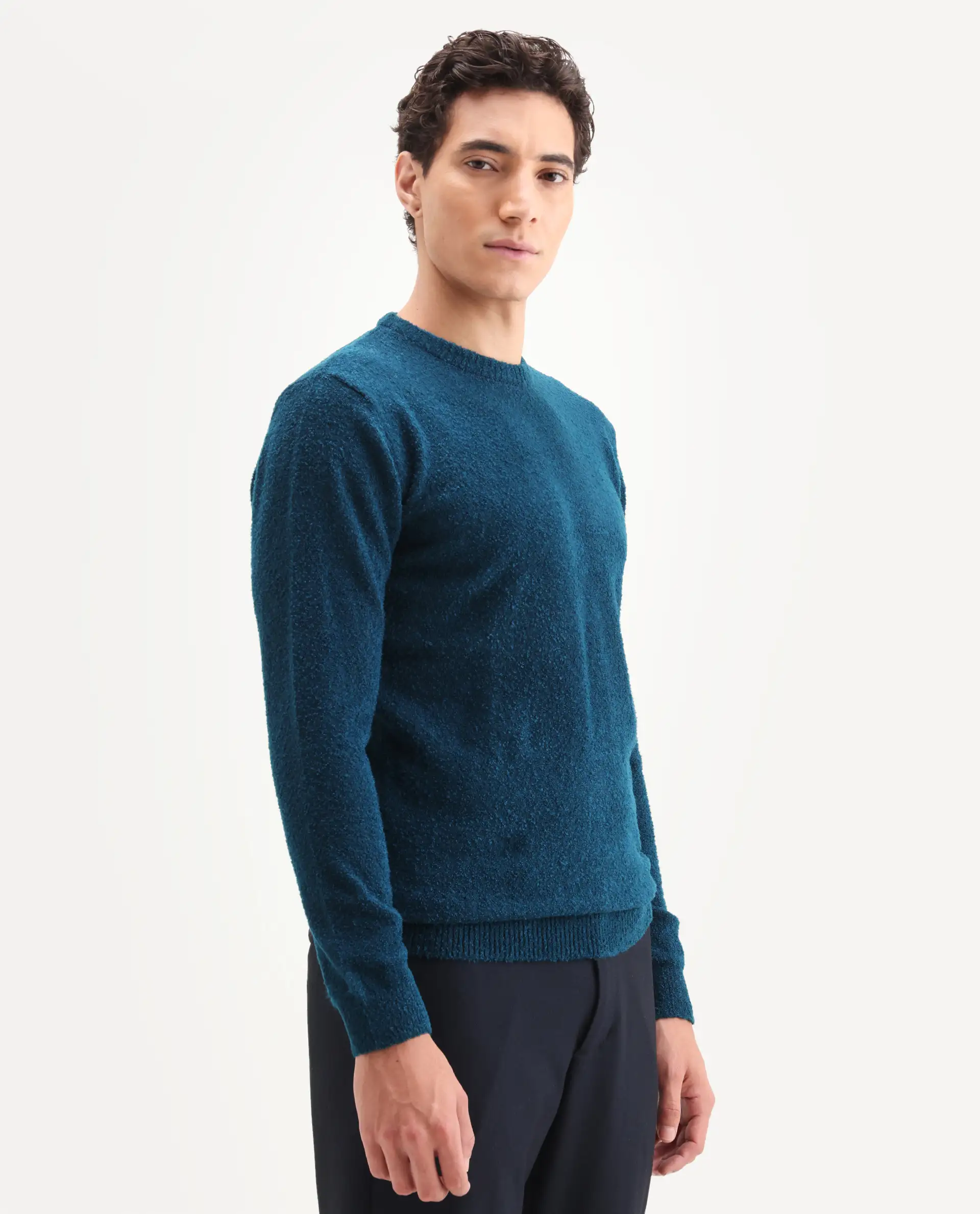 Rare Rabbit Men's Bocle Petrol Polyester Textured Relaxed Fit Full Sleeve Crew Neck Sweater - Image 6