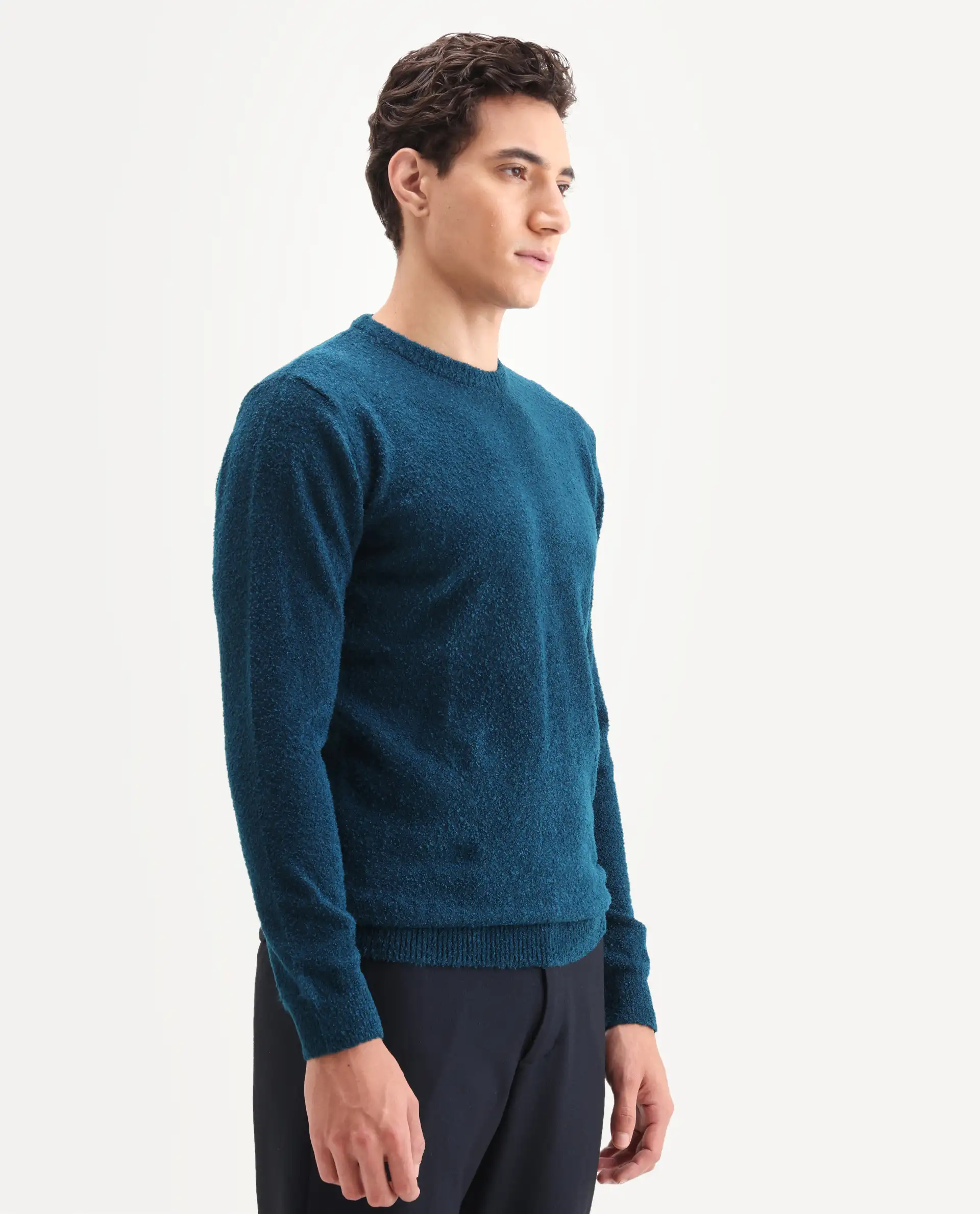 Rare Rabbit Men's Bocle Petrol Polyester Textured Relaxed Fit Full Sleeve Crew Neck Sweater - Image 8