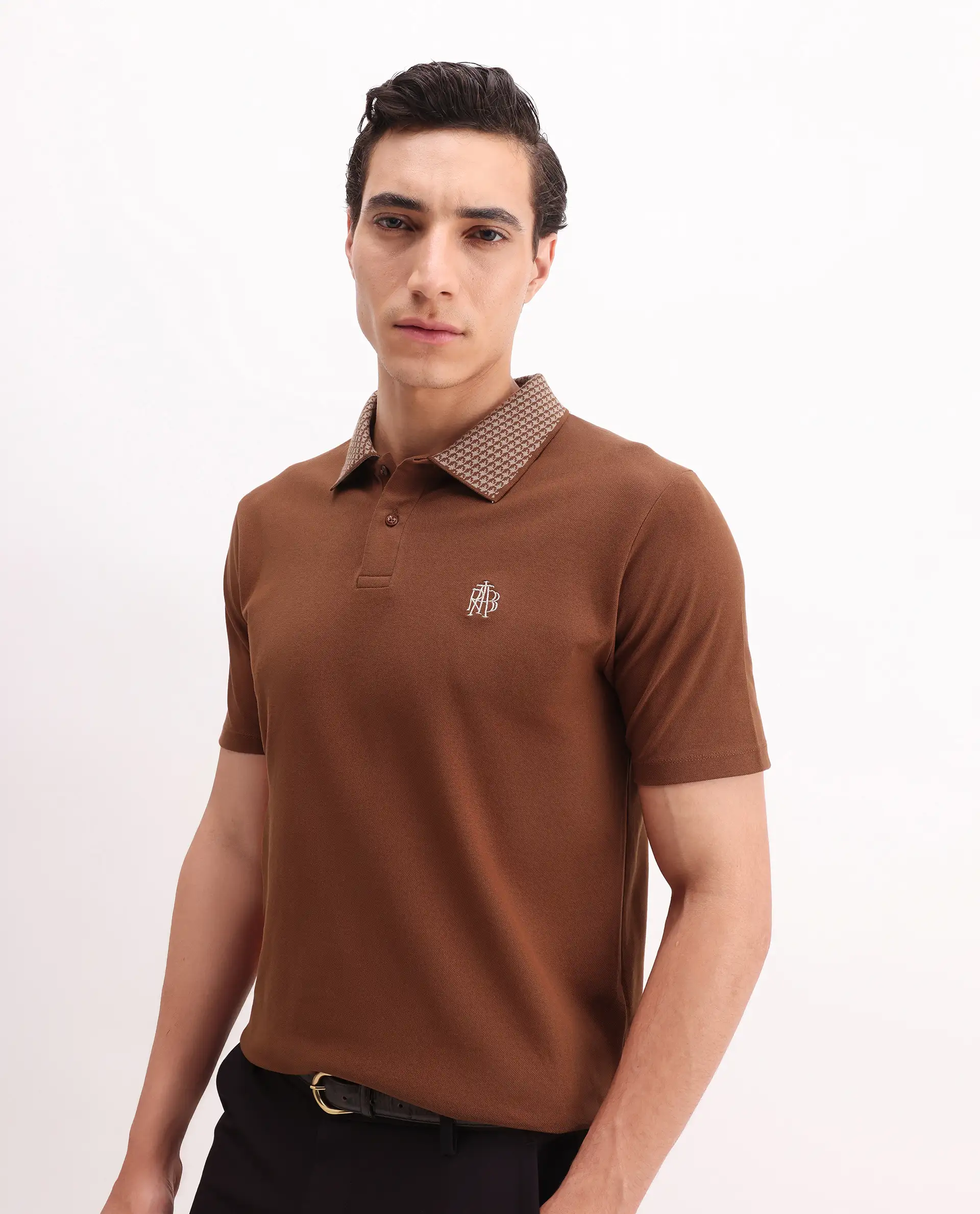 Rare Rabbit Men's Booth Rust Cotton Embroidered Regular Fit Half Sleeve Polo - Image 7