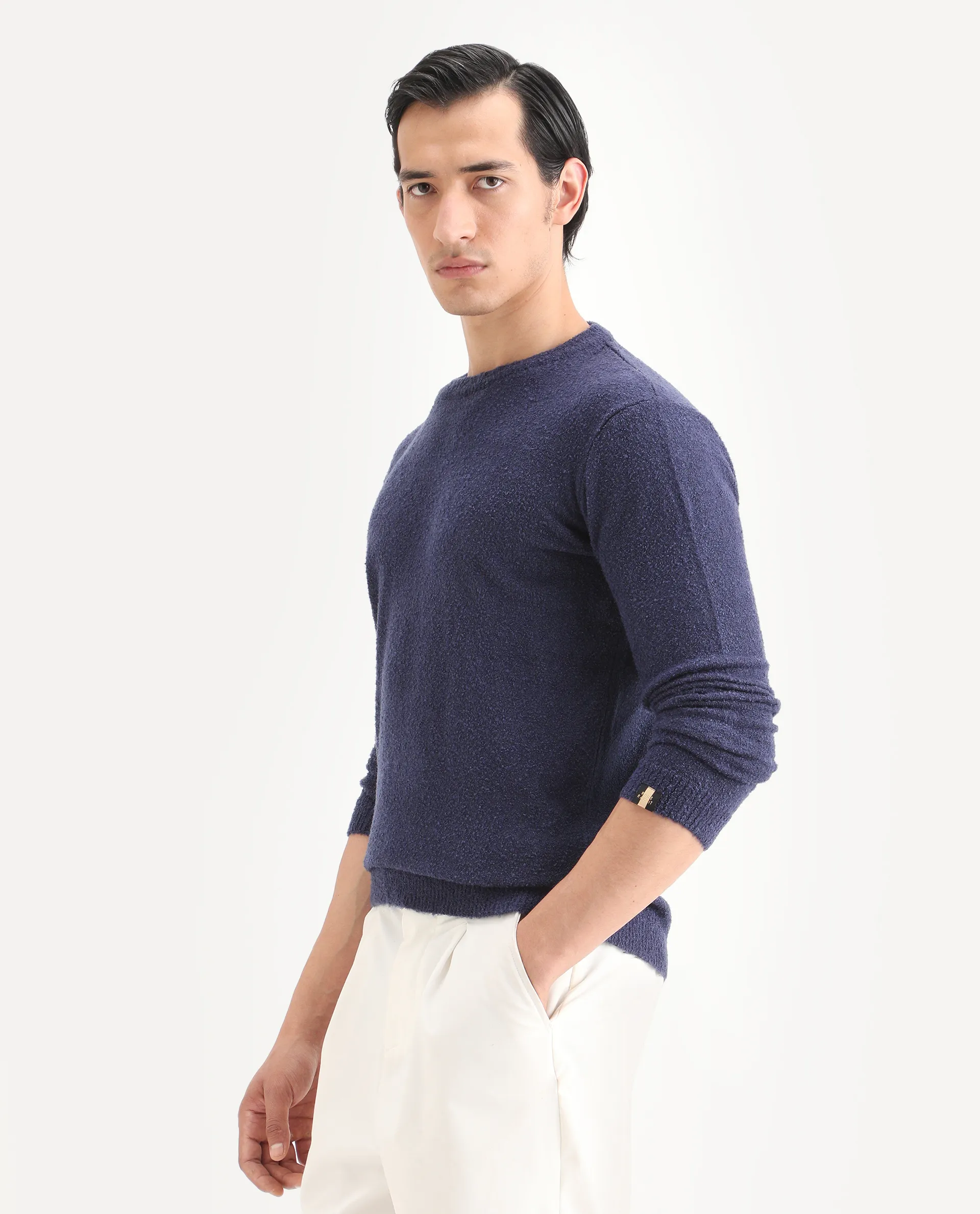 Rare Rabbit Men's Boule Purple Polyester Blend Plain Regular Fit Full Sleeve Crew Neck Sweater - Image 4