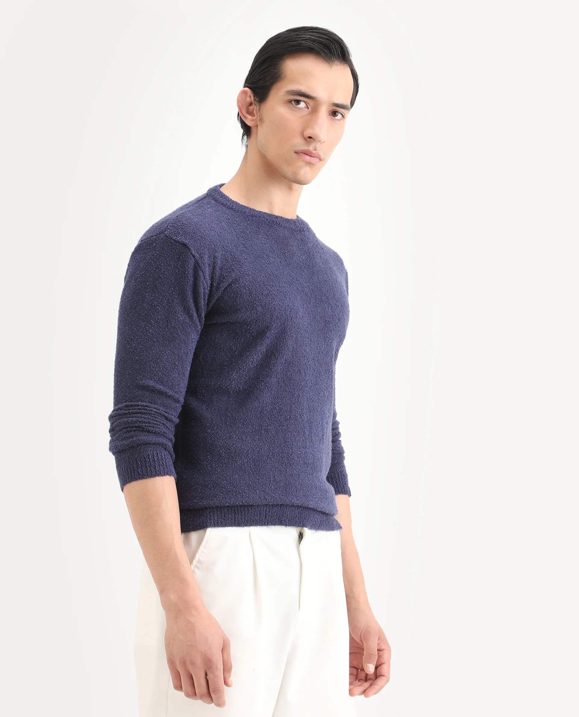 Rare Rabbit Men's Boule Purple Polyester Blend Plain Regular Fit Full Sleeve Crew Neck Sweater - Image 5