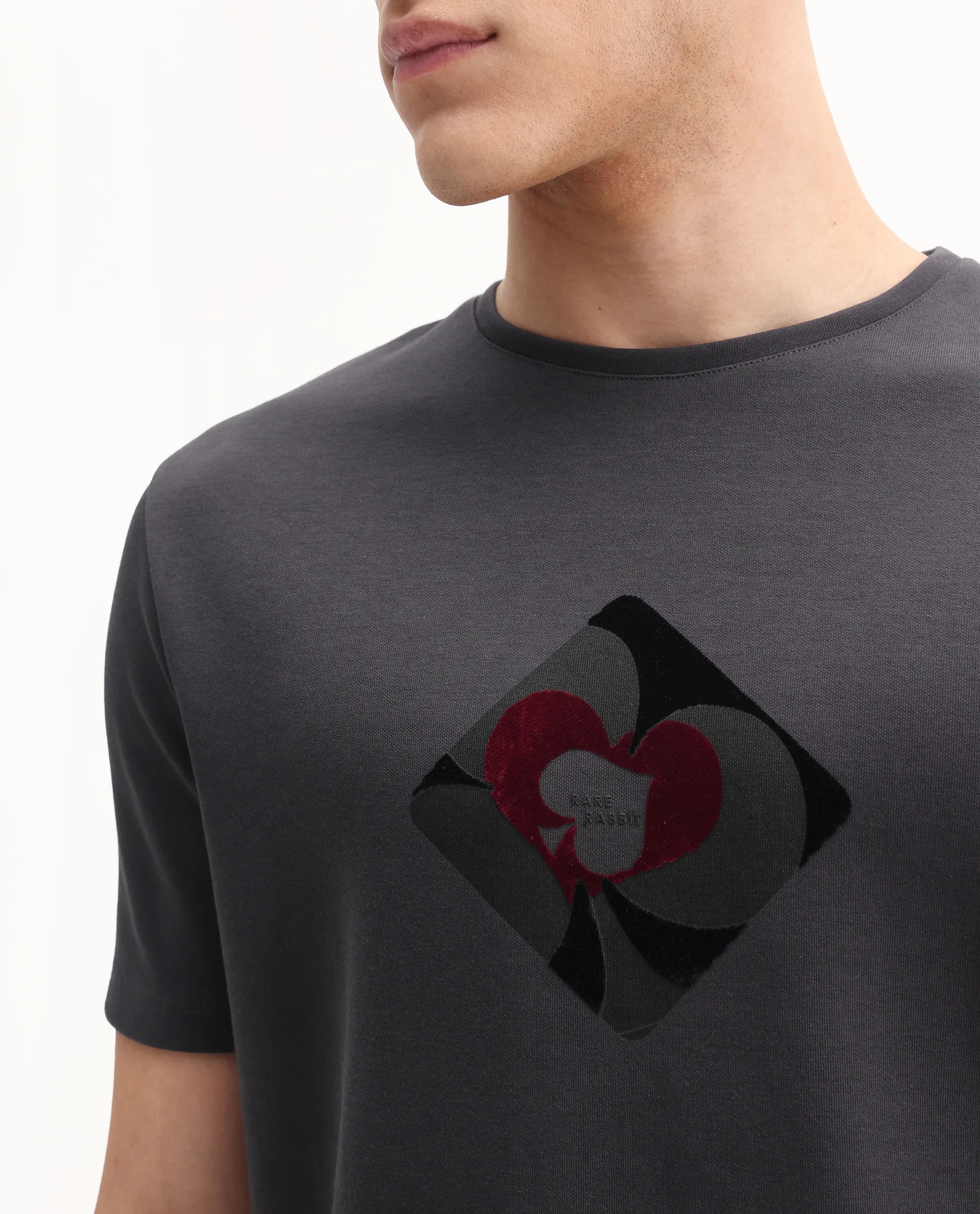 Rare Rabbit Men's Burg Dark Grey Cotton Blend Graphic Print Regular Fit Half Sleeve Crew Neck T-Shirt - Image 3