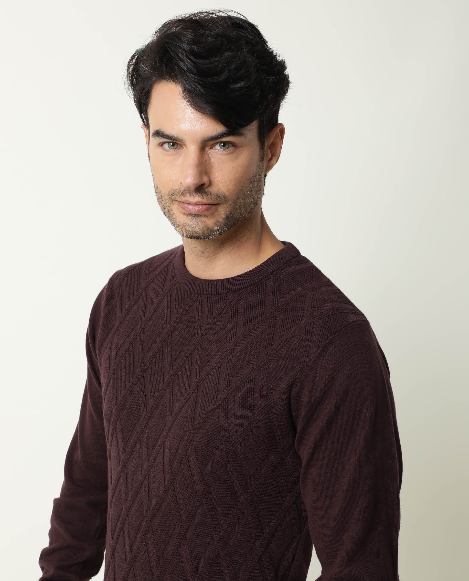 Rare Rabbit Men's Cable Brown Cotton Textured Regular Fit Full Sleeve Crew Neck Sweater
