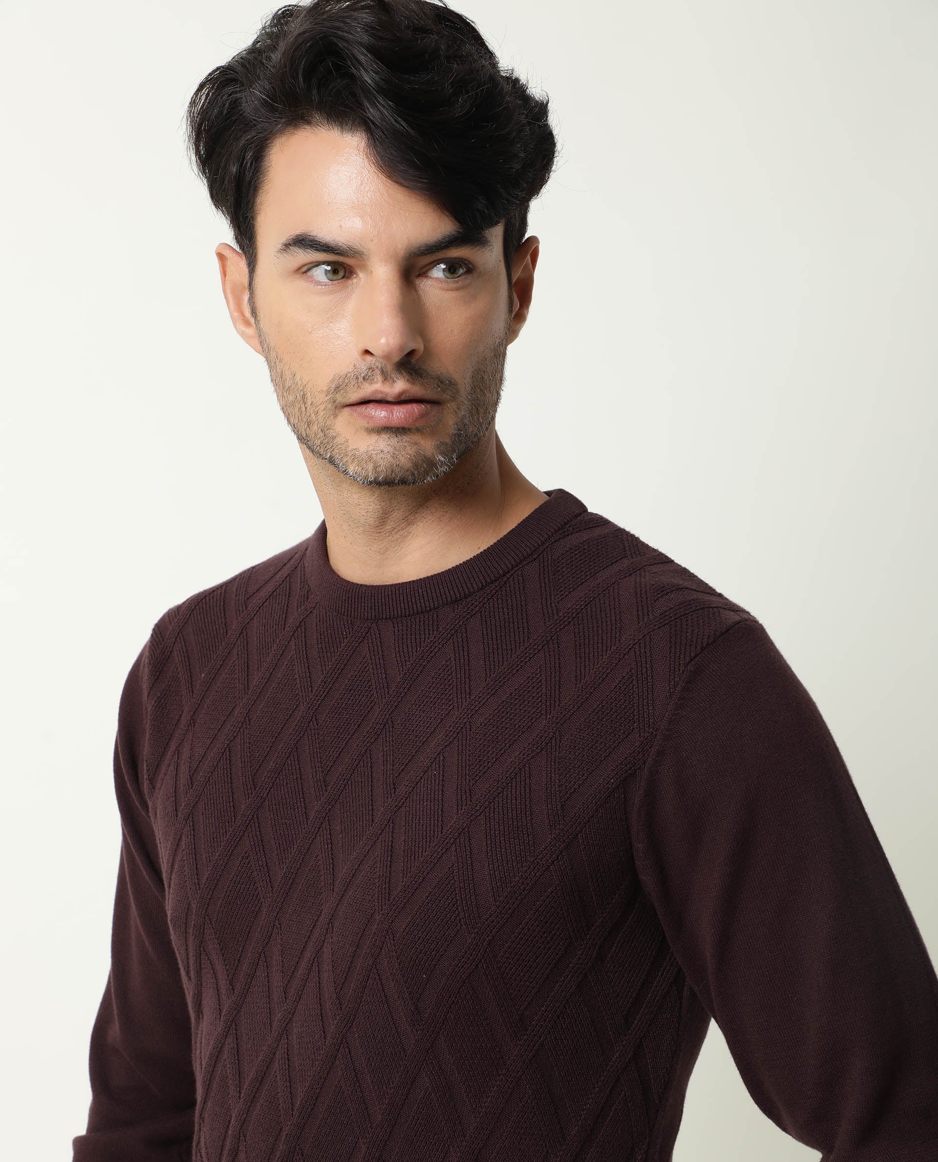 Rare Rabbit Men's Cable Brown Cotton Textured Regular Fit Full Sleeve Crew Neck Sweater - Image 7