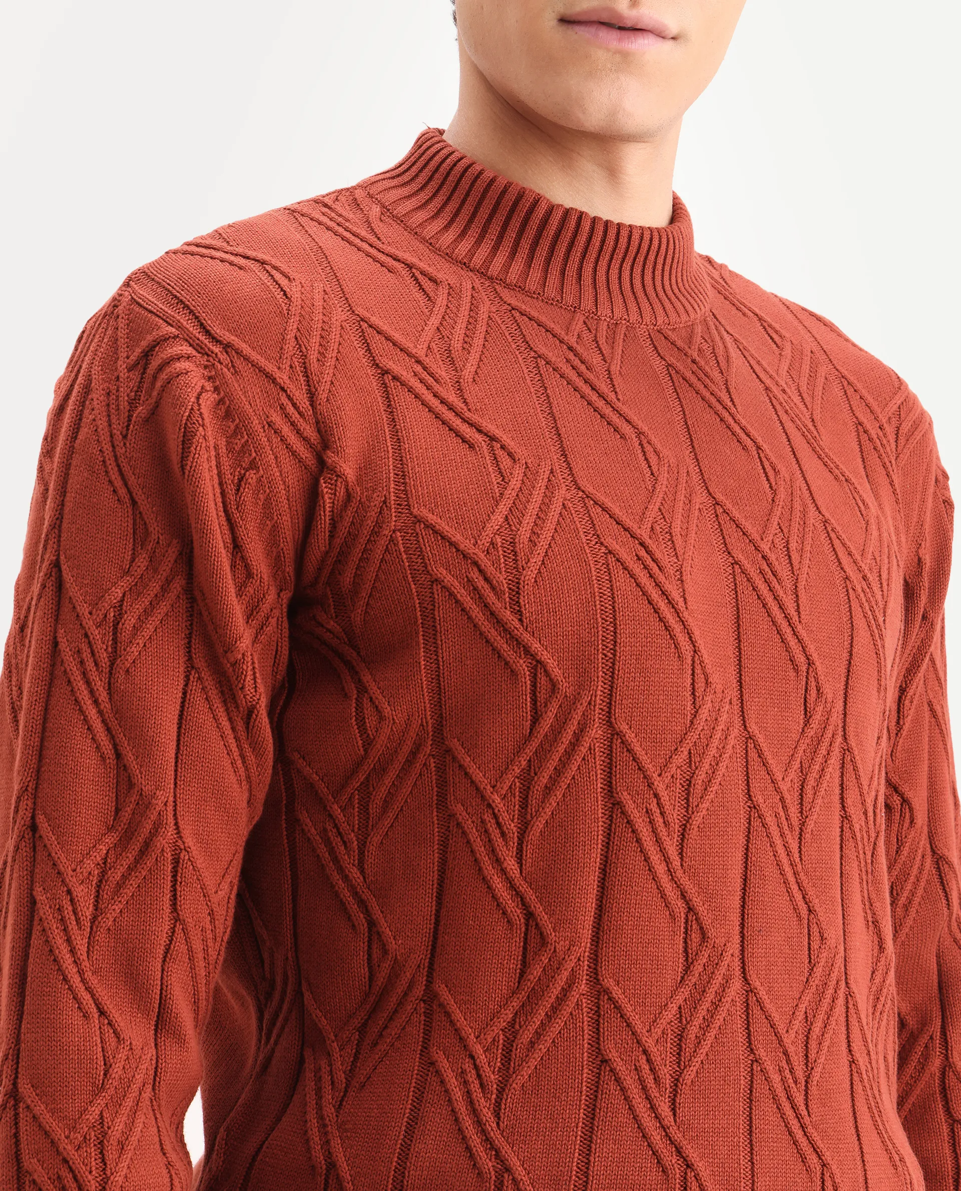 Rare Rabbit Men's Caloz Rust Cotton Textured Regular Fit Full Sleeve High Neck Sweater - Image 3