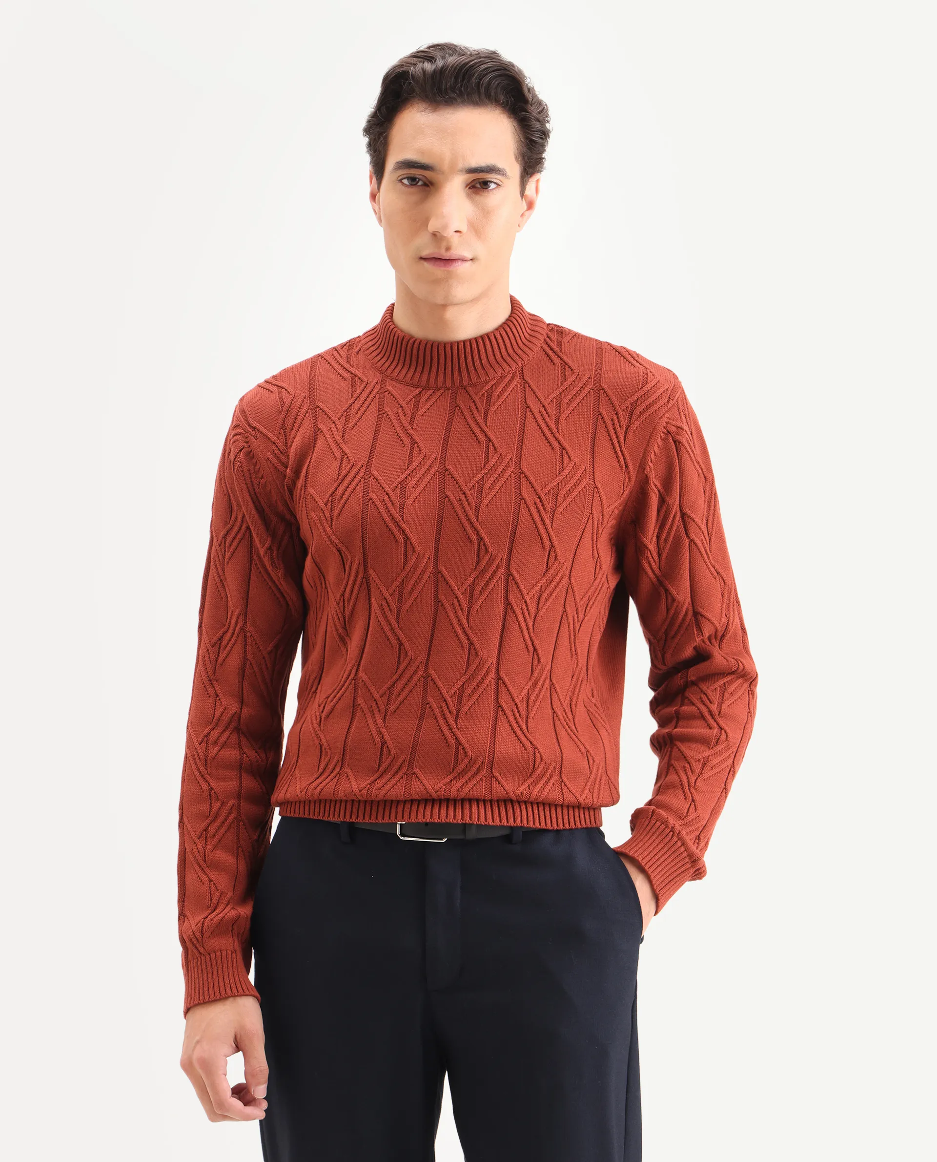 Rare Rabbit Men's Caloz Rust Cotton Textured Regular Fit Full Sleeve High Neck Sweater - Image 4