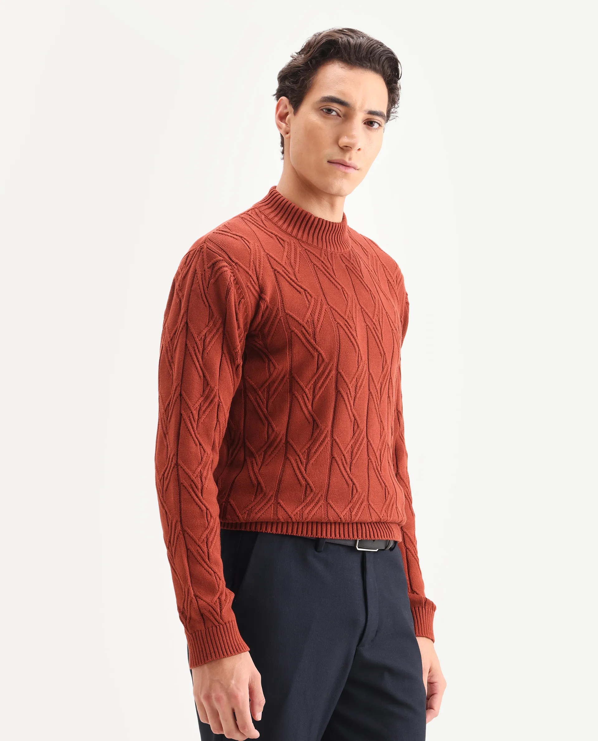 Rare Rabbit Men's Caloz Rust Cotton Textured Regular Fit Full Sleeve High Neck Sweater - Image 5