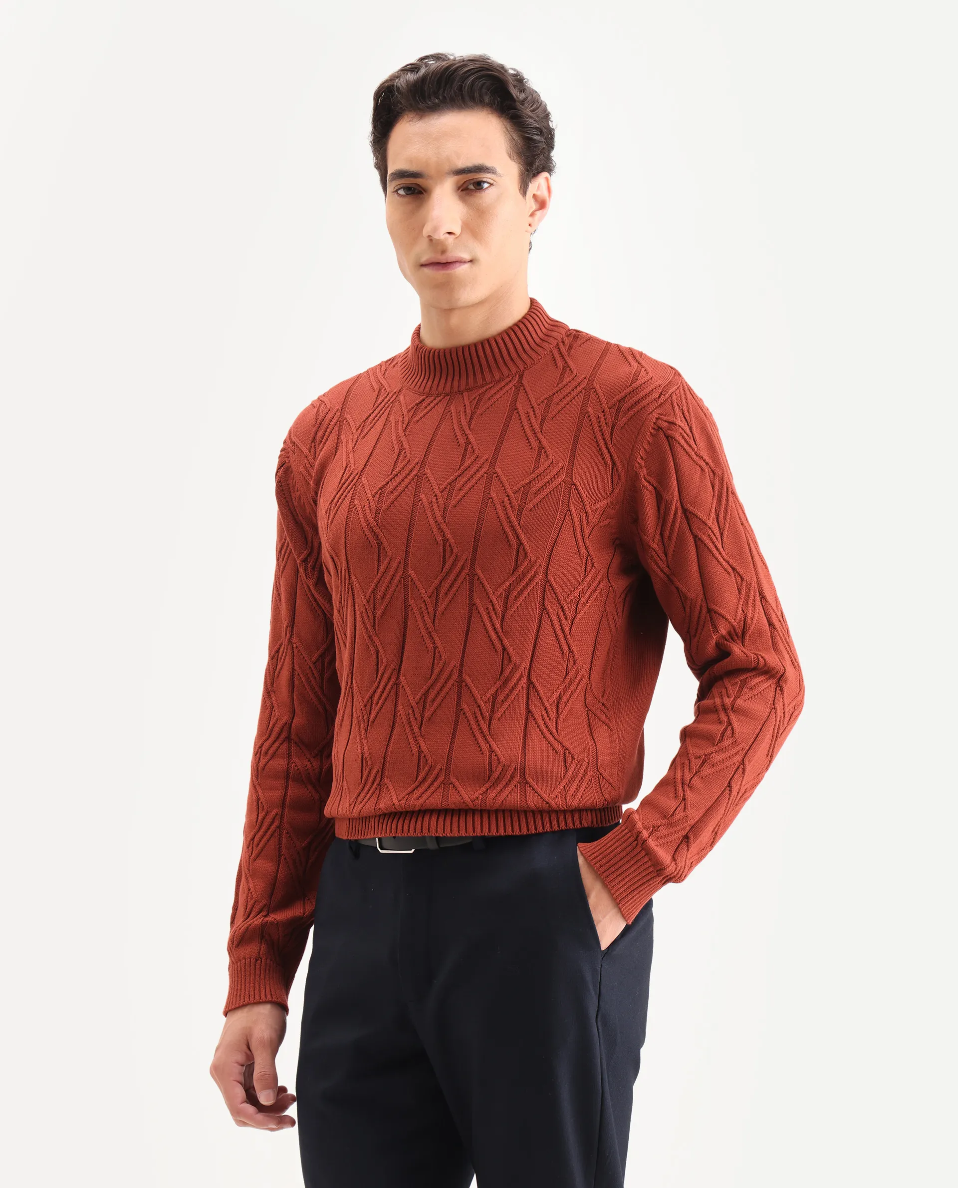 Rare Rabbit Men's Caloz Rust Cotton Textured Regular Fit Full Sleeve High Neck Sweater - Image 6