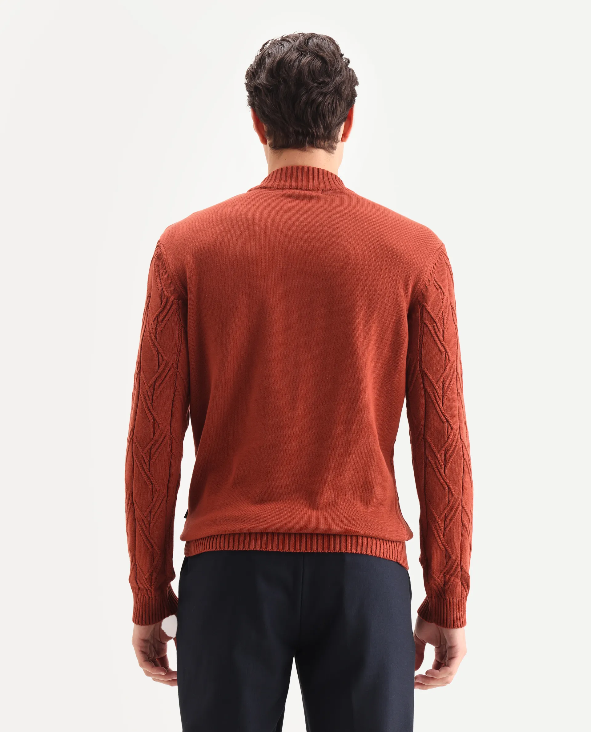Rare Rabbit Men's Caloz Rust Cotton Textured Regular Fit Full Sleeve High Neck Sweater - Image 7