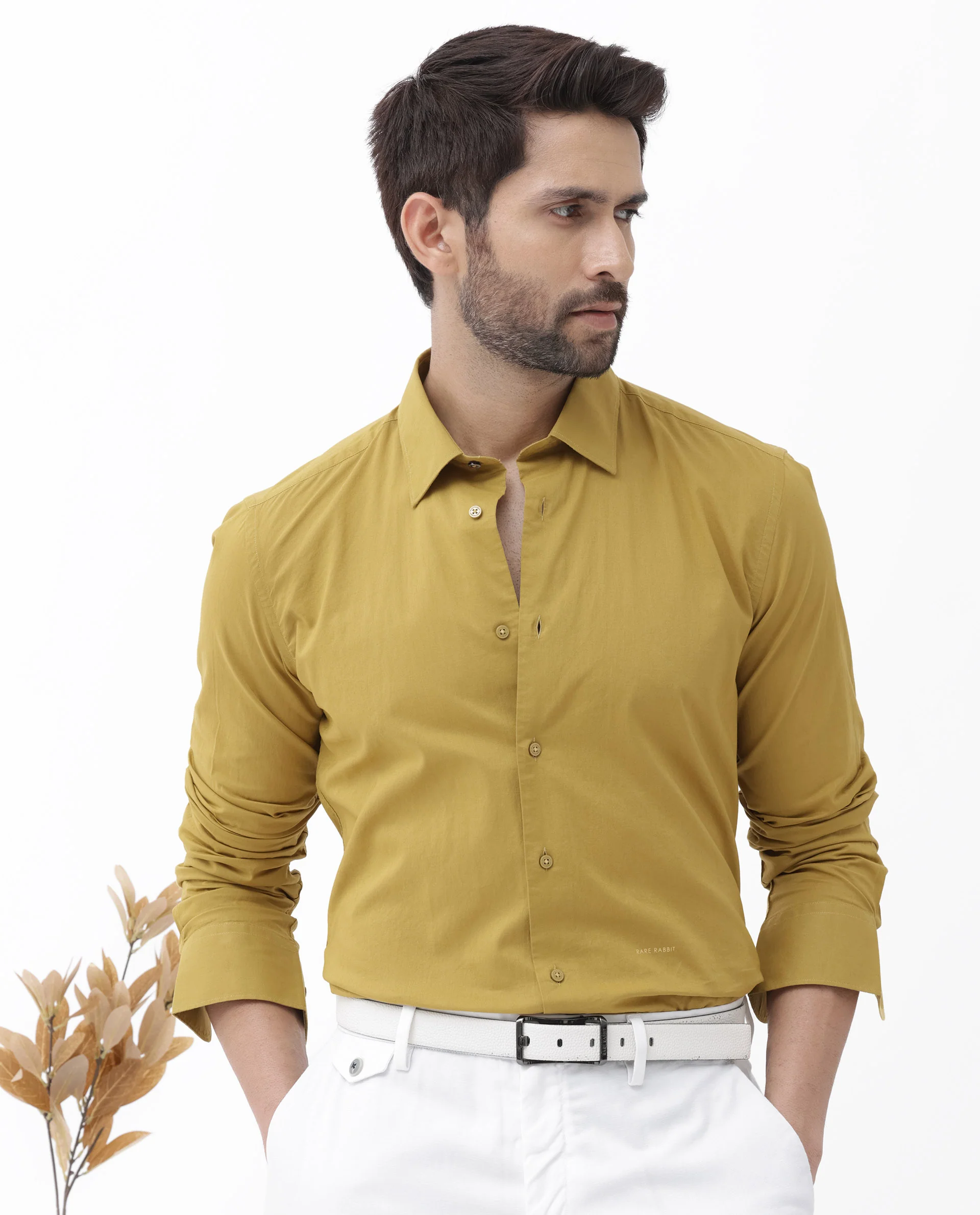 Rare Rabbit Men's Cambo Mustard Cotton Plain Regular Fit Full Sleeve Collared Shirt - Image 6