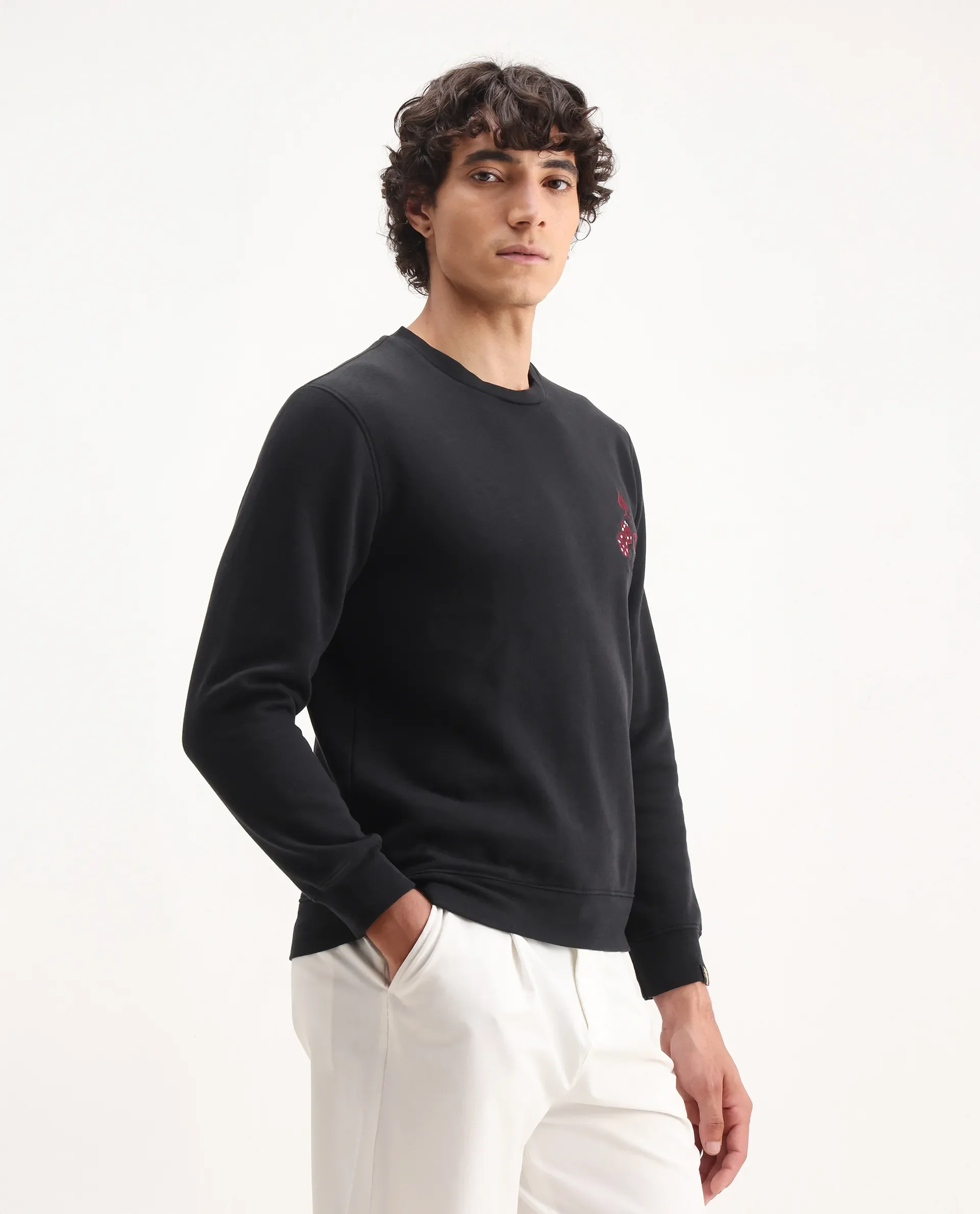 Rare Rabbit Men's Camisa Black Cotton Embroidered Regular Fit Full Sleeve Crew Neck Sweatshirt - Image 6