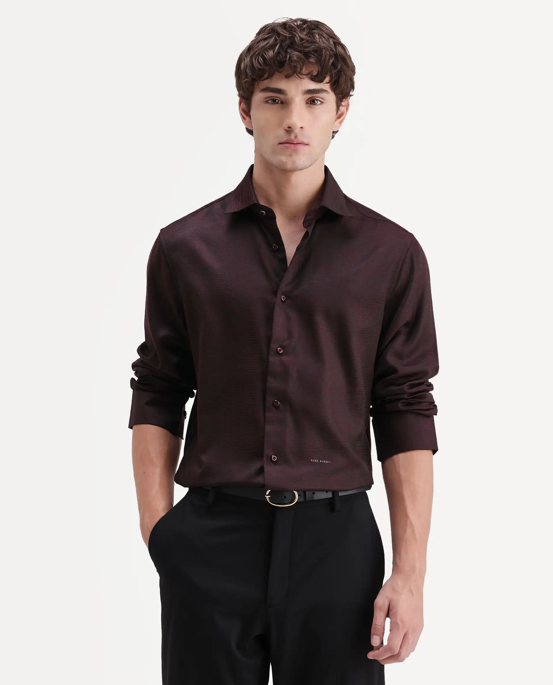 Rare Rabbit Men's Carl Maroon Polyester Blend Fabric Spread Collar Regular Fit Jacquard Shirt - Image 4