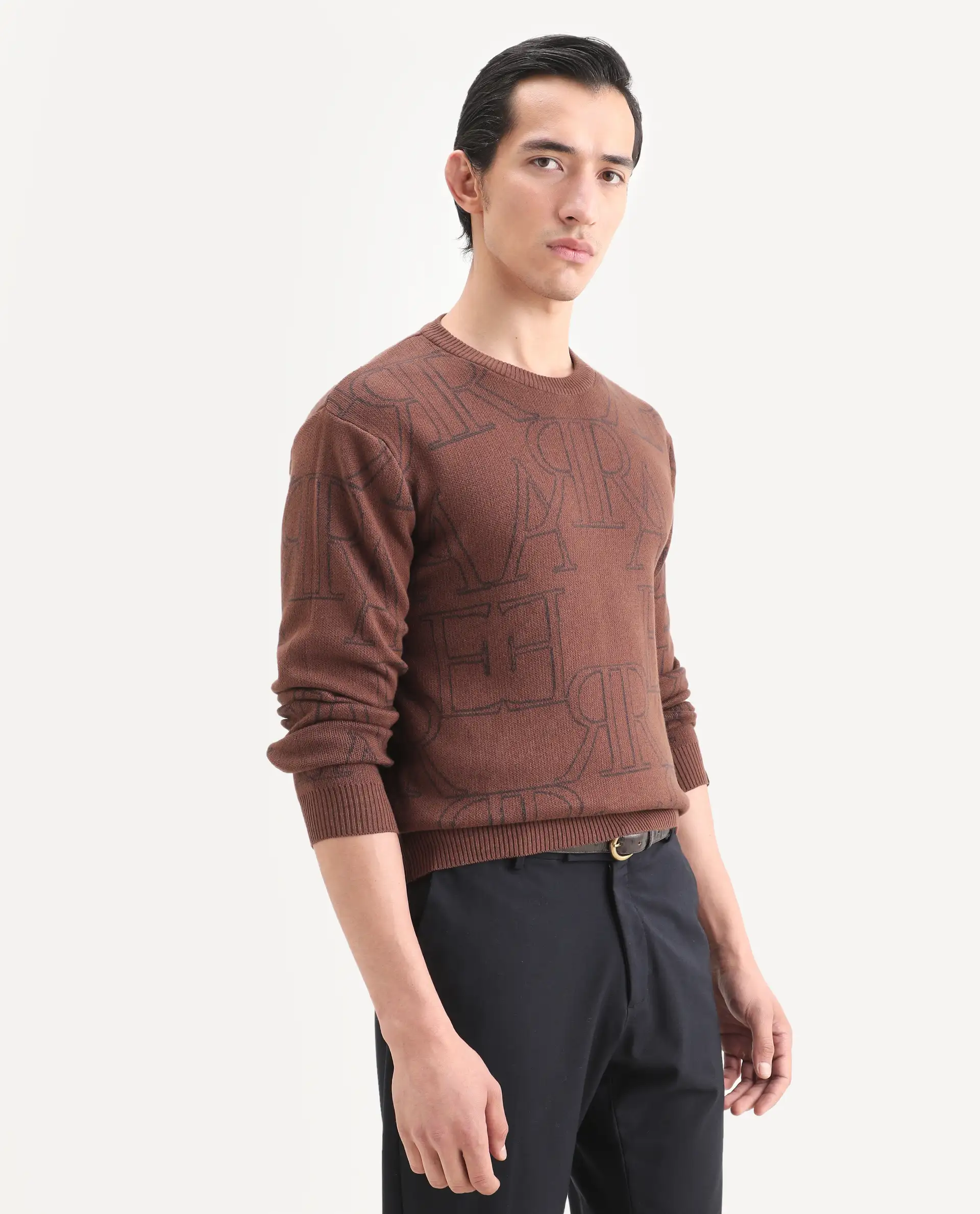 Rare Rabbit Men's Carrit Brown Cotton Monogram Print Regular Fit Full Sleeve Crew Neck Sweater - Image 6