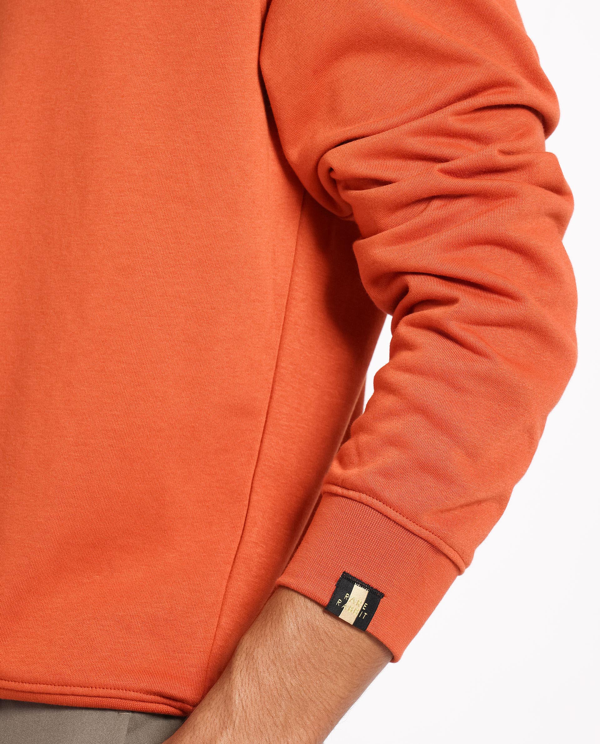 Rare Rabbit Men's Cerdon Rust Cotton Graphic Print Regular Fit Full Sleeve Crew Neck Sweatshirt - Image 3