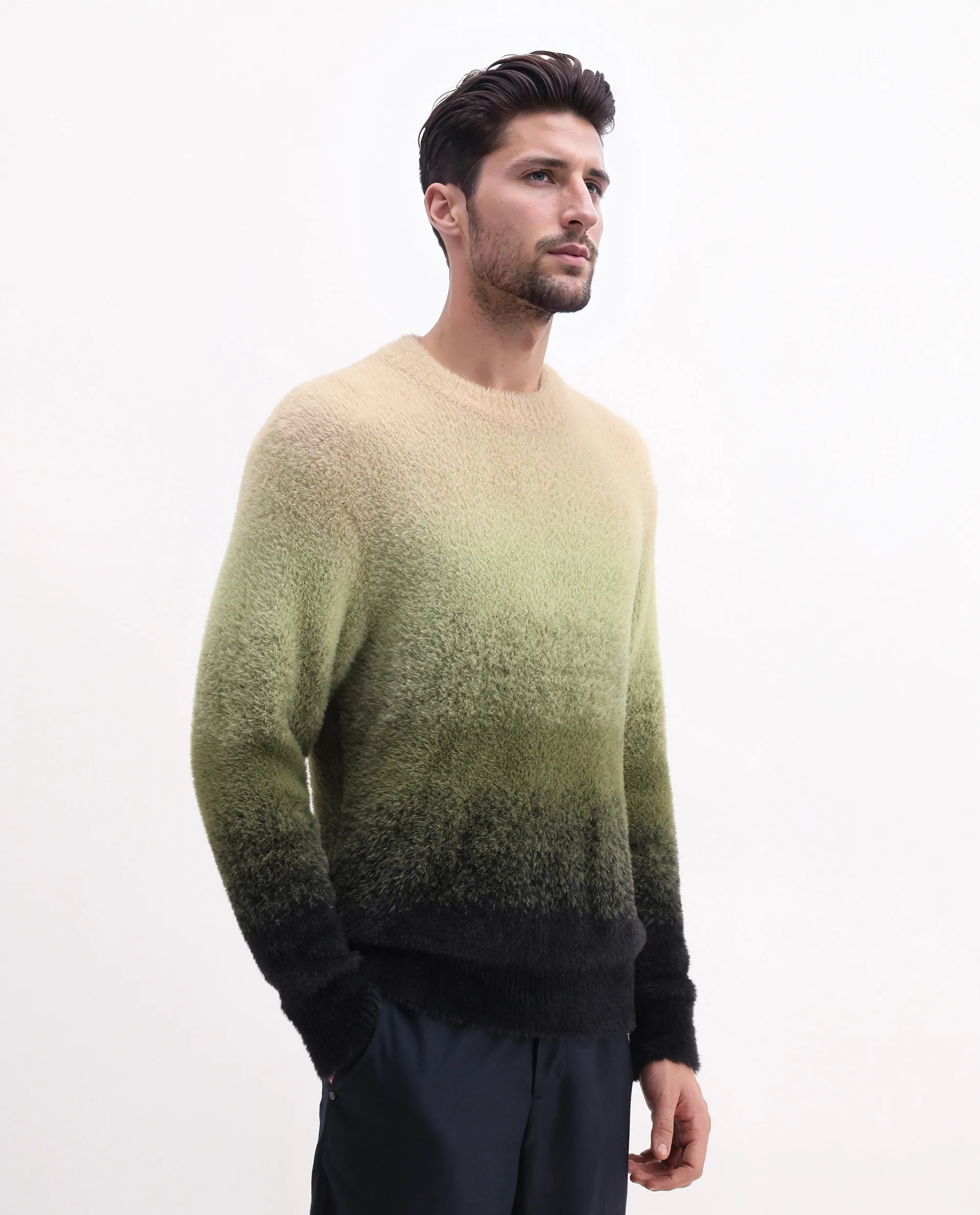 Rare Rabbit Men's Chervs Dark Green Cotton Color Block Regular Fit Full Sleeve Crew Neck Sweater - Image 7