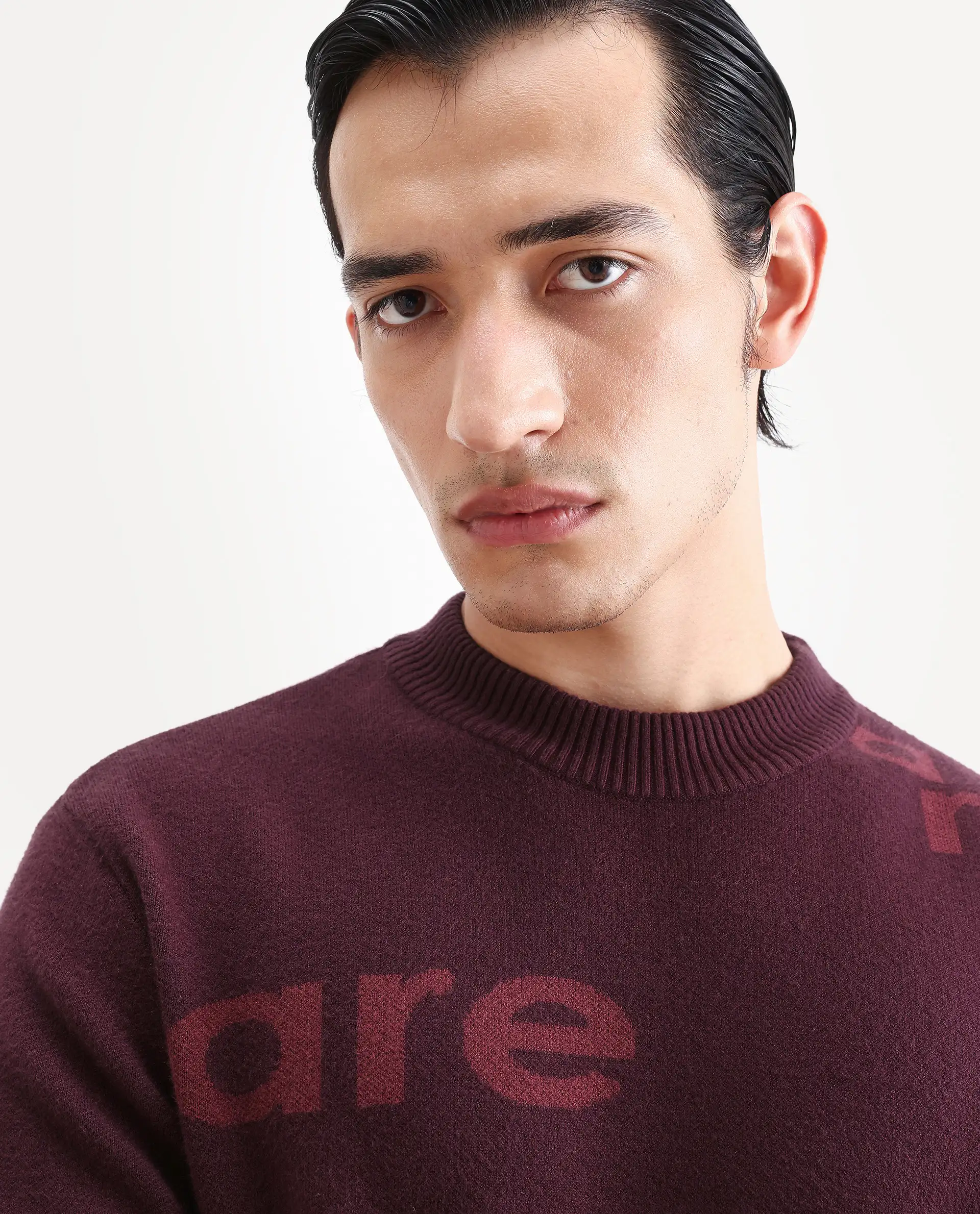 Rare Rabbit Men's Chet Dark Maroon Viscose Monogram Print Regular Fit Full Sleeve Crew Neck Sweater - Image 4