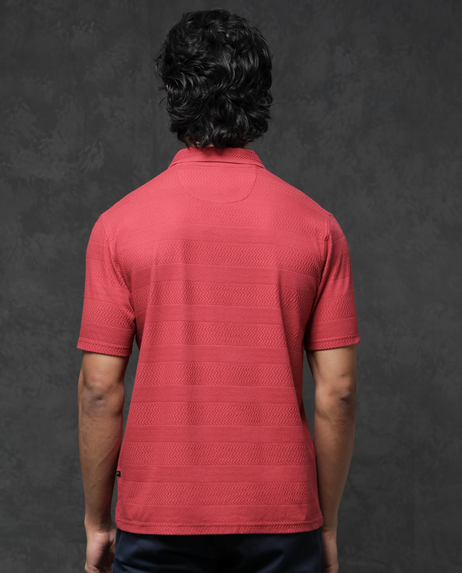 Rare Rabbit Men's Clion Red Cotton Blend Jacquard Regular Fit Half Sleeve Polo - Image 10