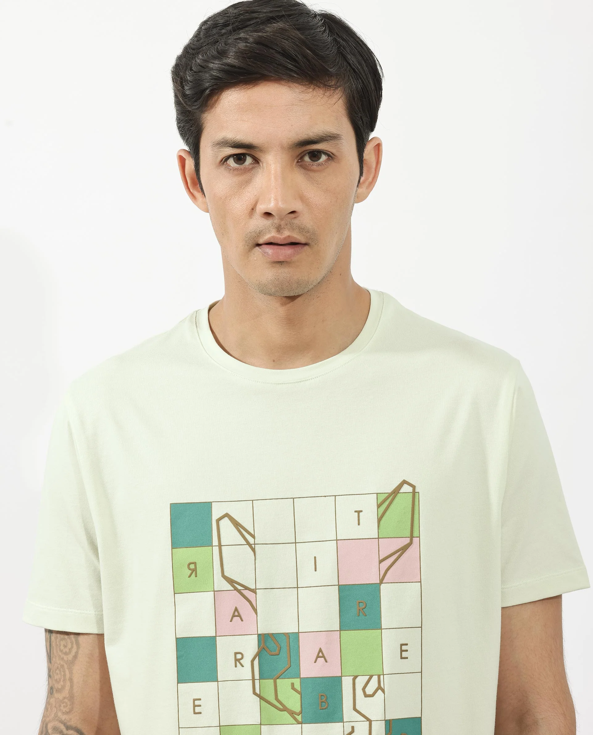 Rare Rabbit Articale Mens Cove Pastel Green Cotton Polyester Fabric Short Sleeve Crew Neck Regular Fit Graphic Printed T-Shirt - Image 5