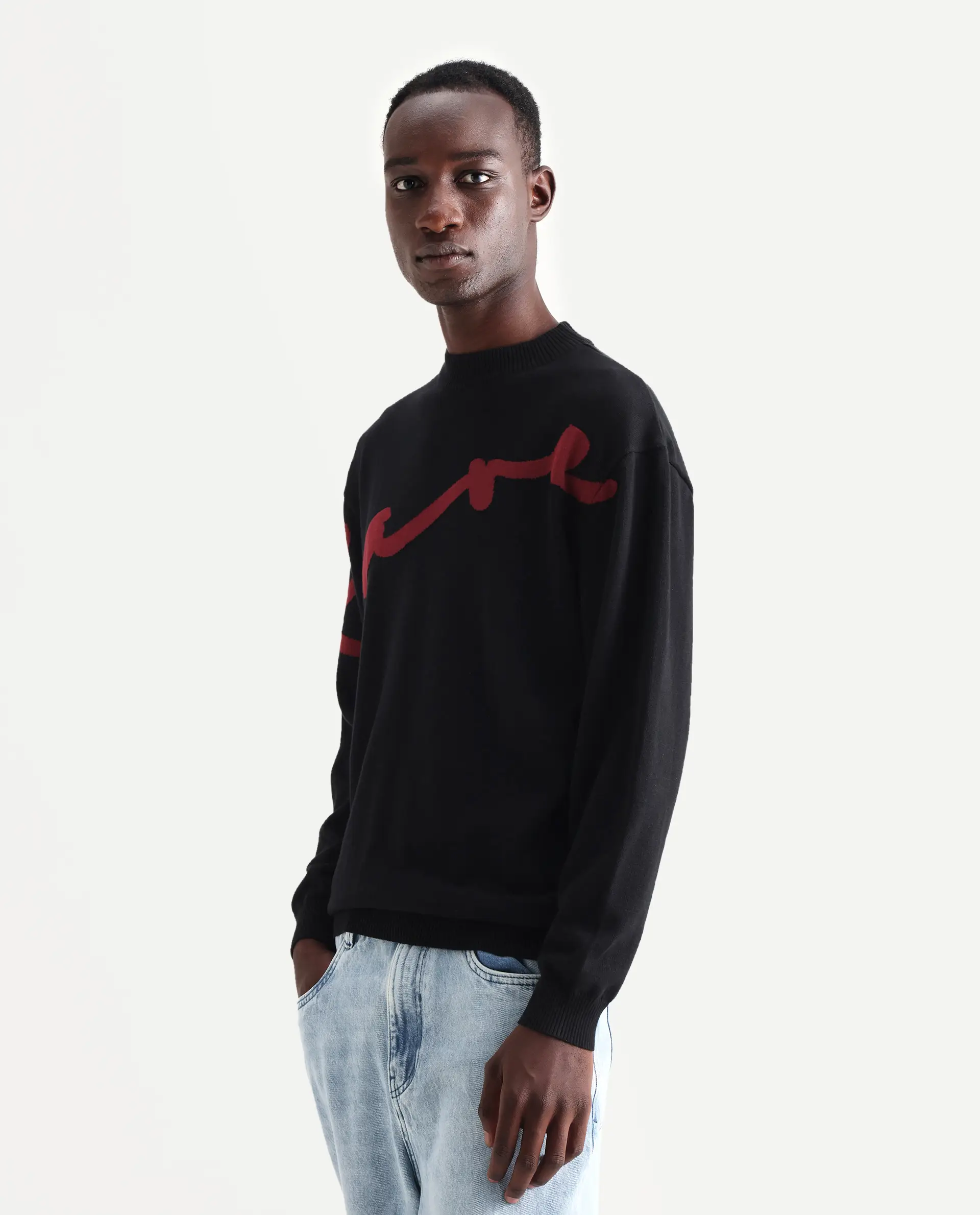 Rare Rabbit Men's Cyan Black Cotton Textured Regular Fit Full Sleeve Crew Neck Sweater - Image 5