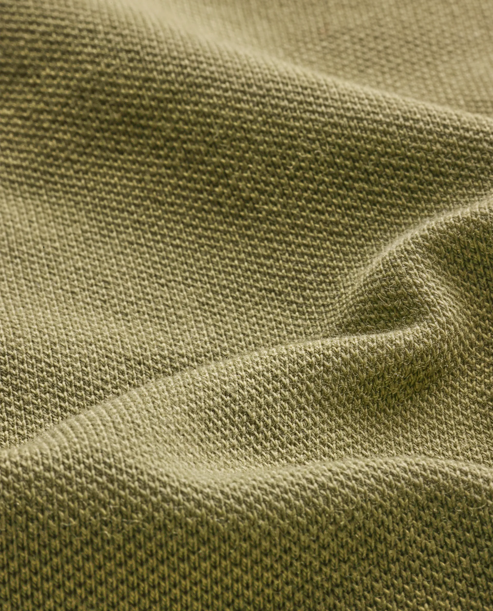 Rare Rabbit Men's Daryl Olive Cotton Plain Regular Fit Half Sleeve Polo - Image 4