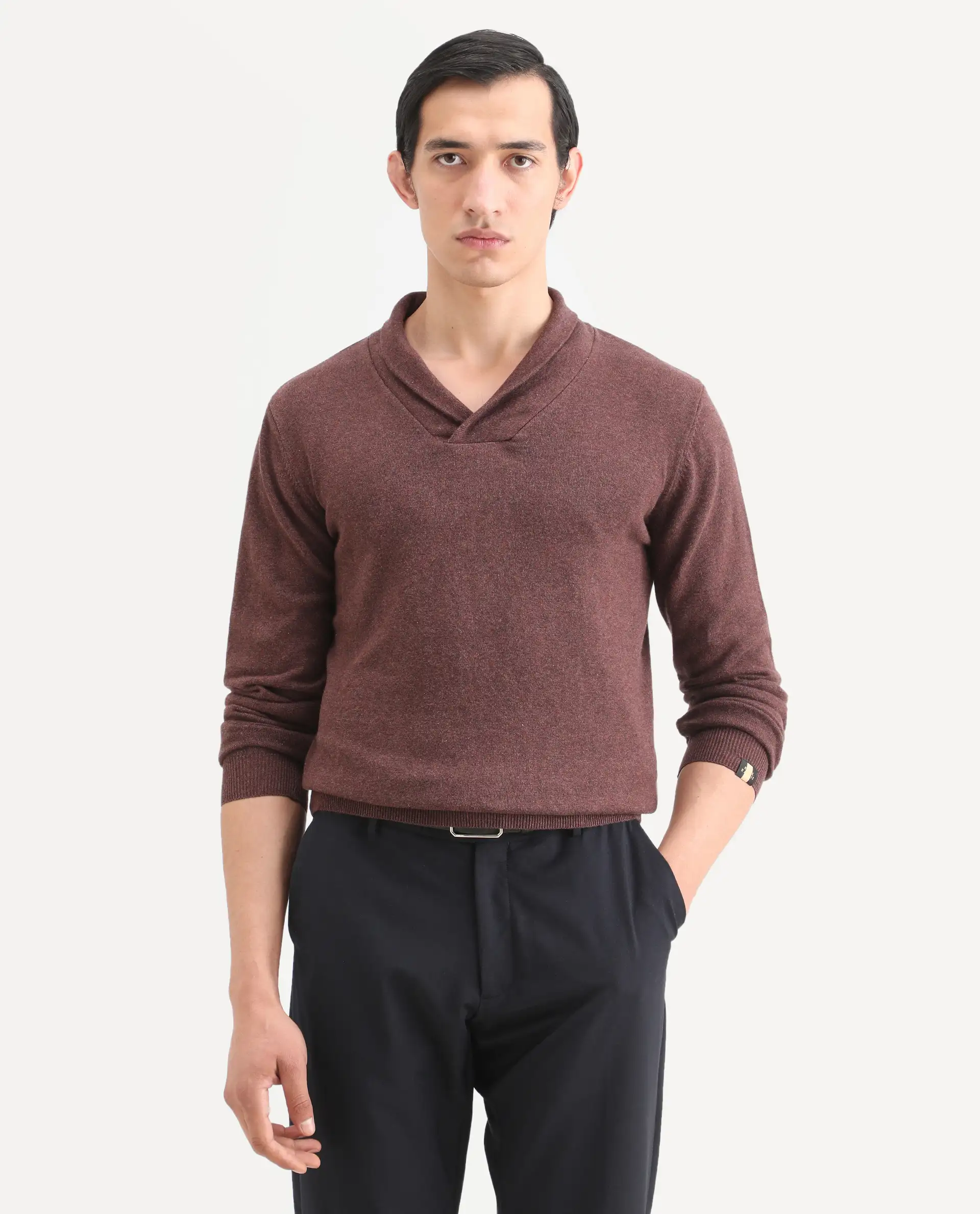 Rare Rabbit Men's Denvy Brown Cotton Plain Regular Fit Full Sleeve Shawl Neck Sweater - Image 4