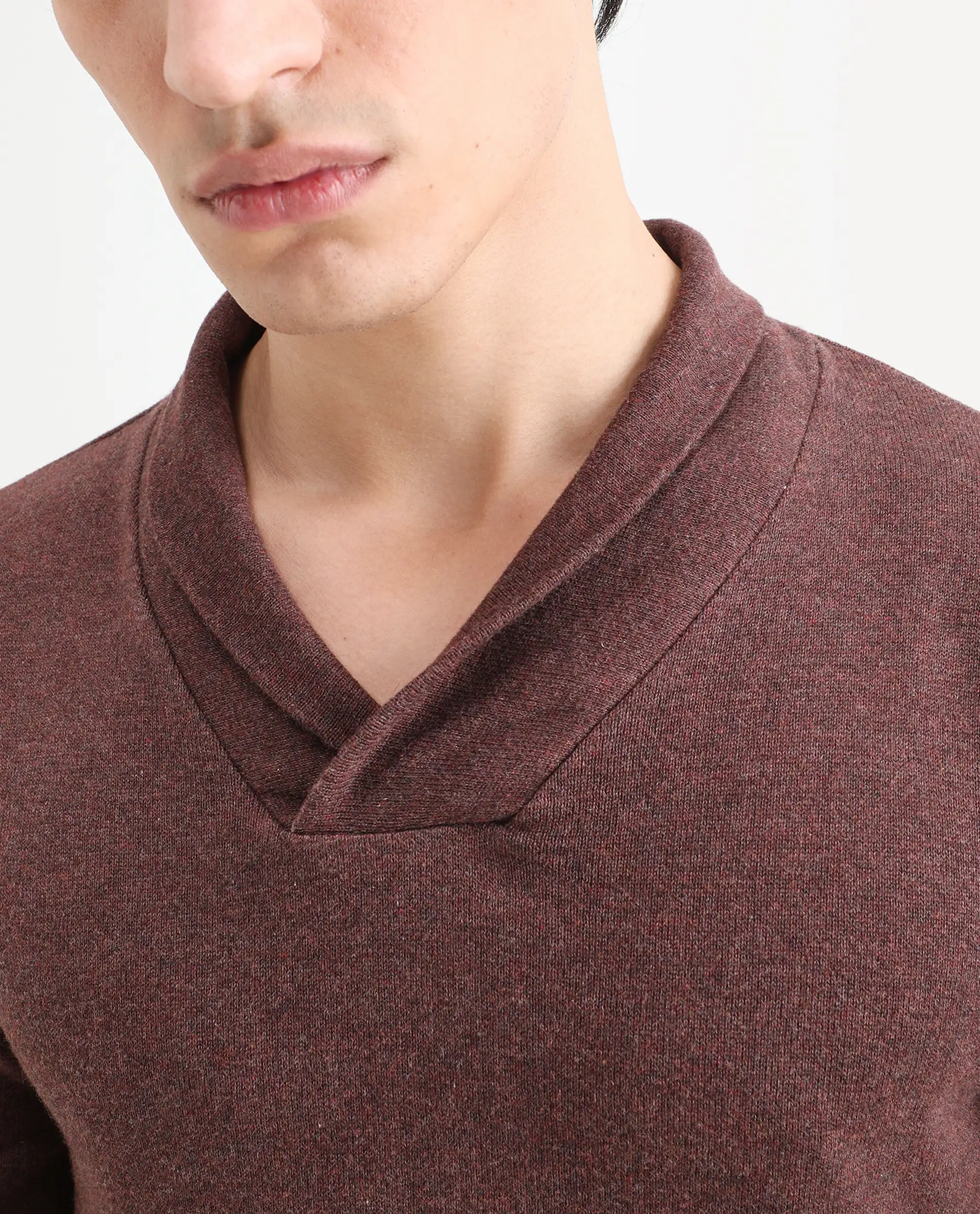 Rare Rabbit Men's Denvy Brown Cotton Plain Regular Fit Full Sleeve Shawl Neck Sweater - Image 6
