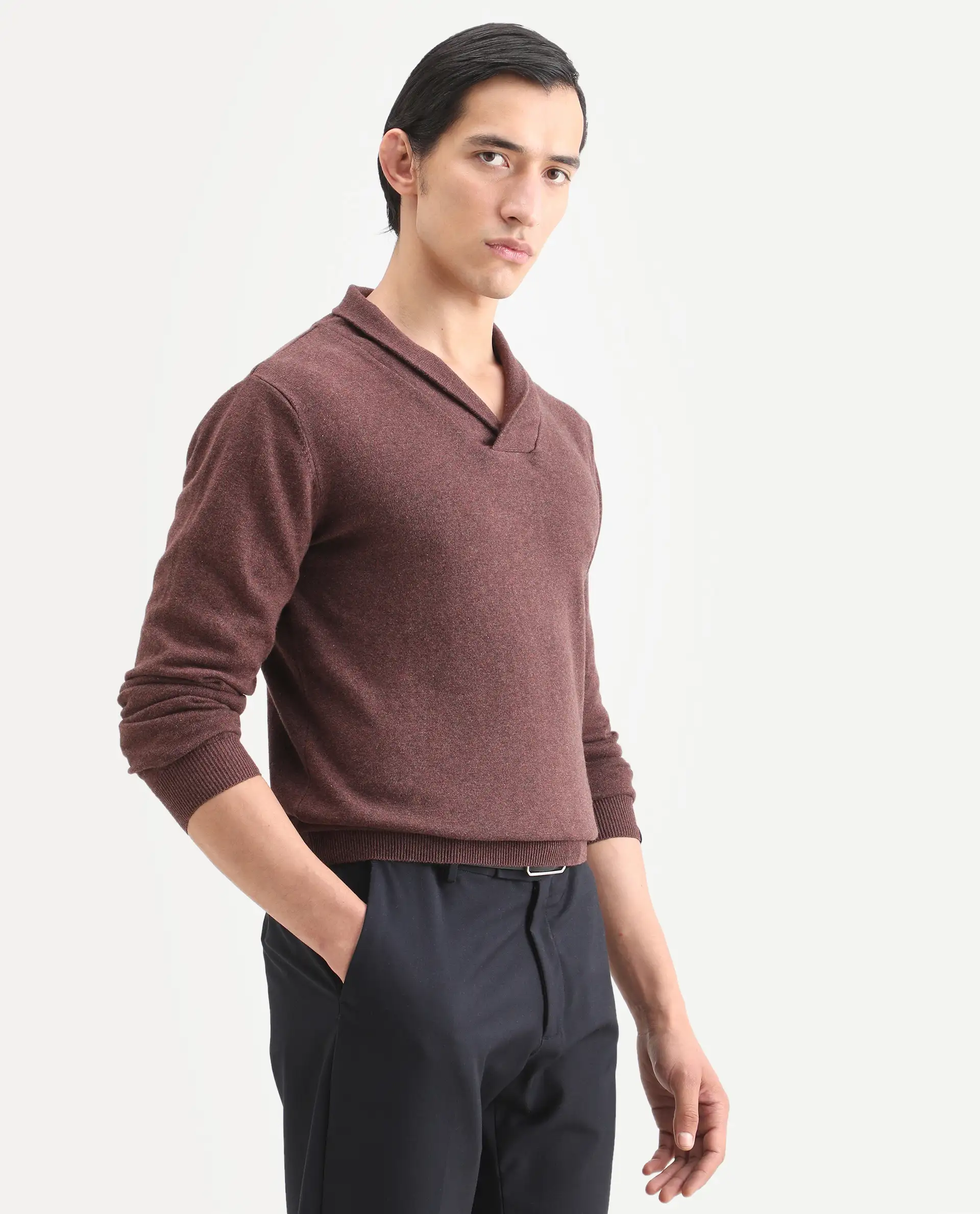 Rare Rabbit Men's Denvy Brown Cotton Plain Regular Fit Full Sleeve Shawl Neck Sweater - Image 8
