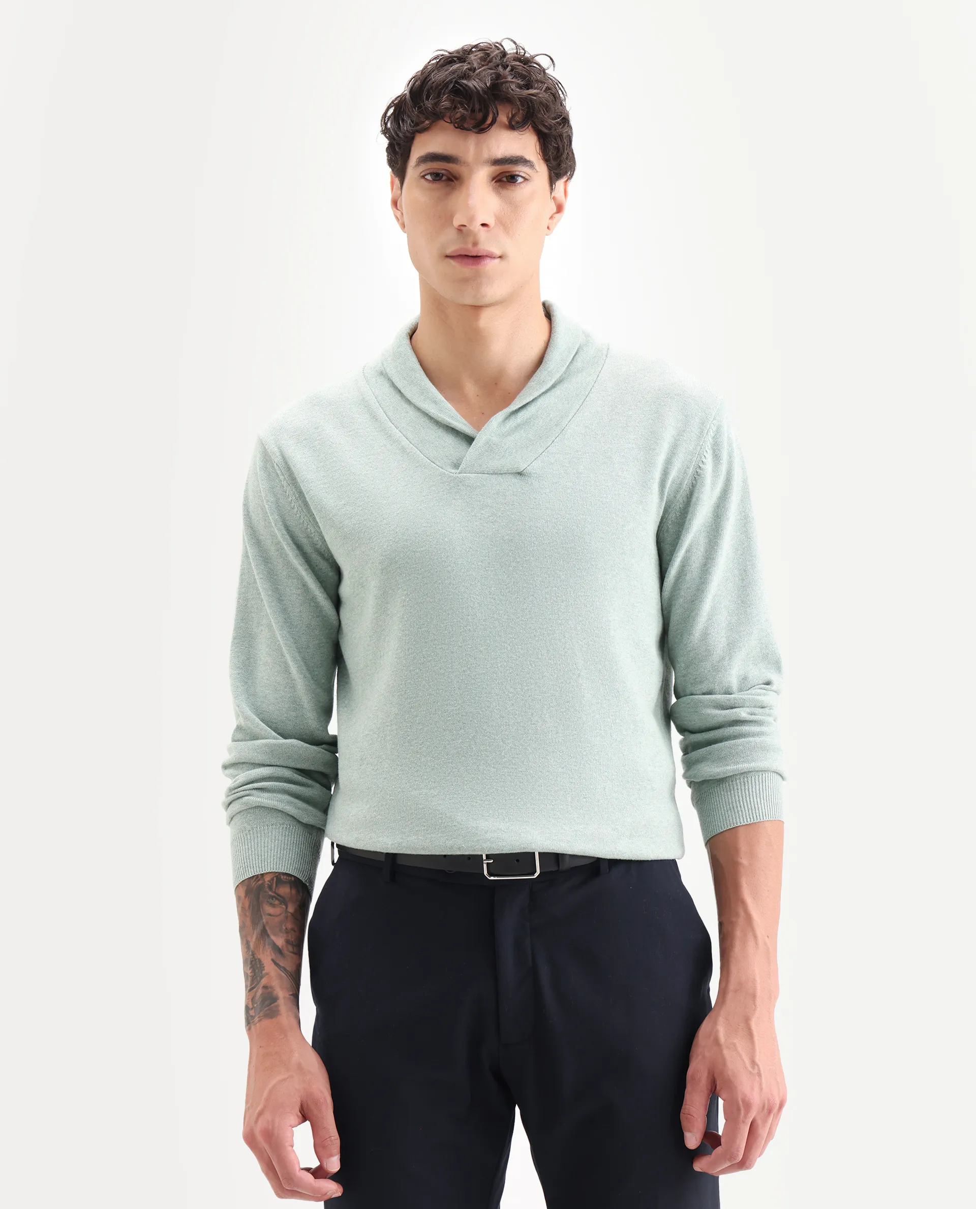 Rare Rabbit Men's Denvy Green Cotton Plain Regular Fit Full Sleeve Shawl Neck Sweater - Image 4
