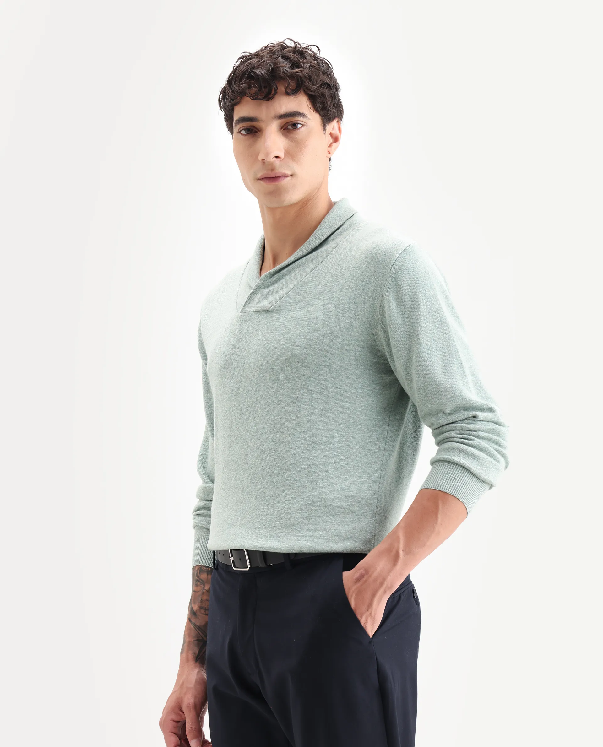 Rare Rabbit Men's Denvy Green Cotton Plain Regular Fit Full Sleeve Shawl Neck Sweater - Image 5