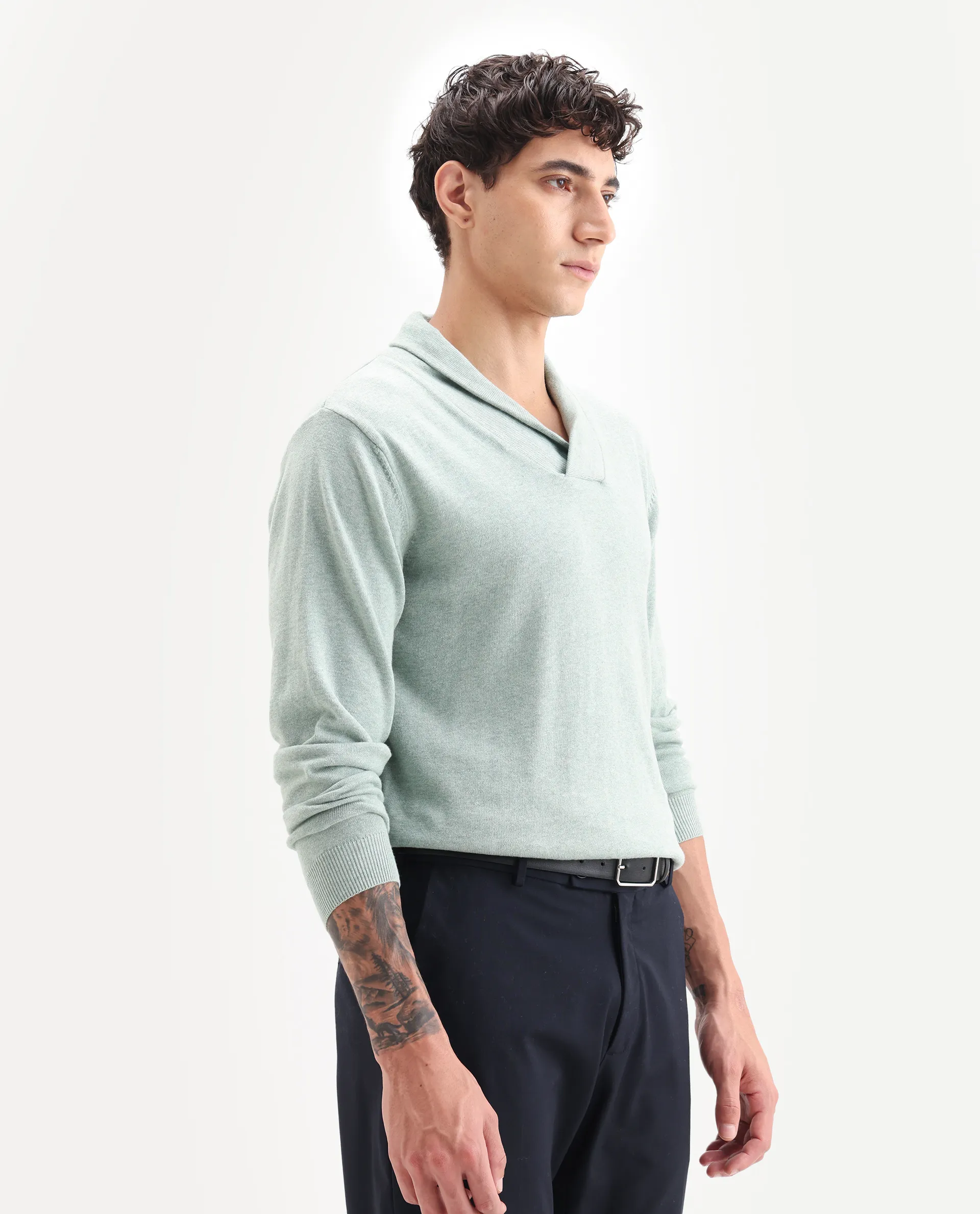 Rare Rabbit Men's Denvy Green Cotton Plain Regular Fit Full Sleeve Shawl Neck Sweater - Image 6