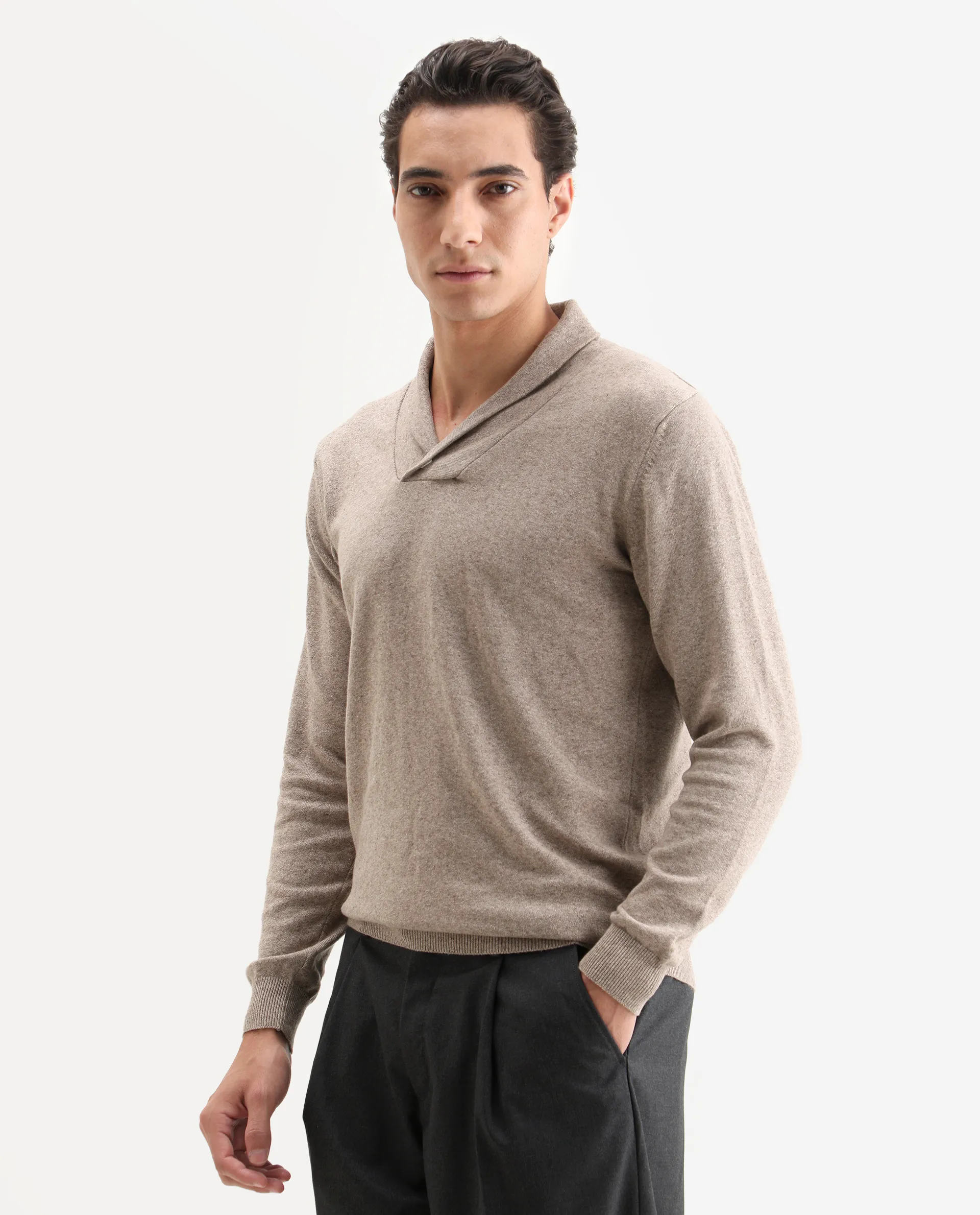 Rare Rabbit Men's Denvy Beige Cotton Plain Regular Fit Full Sleeve Shawl Neck Sweater - Image 6