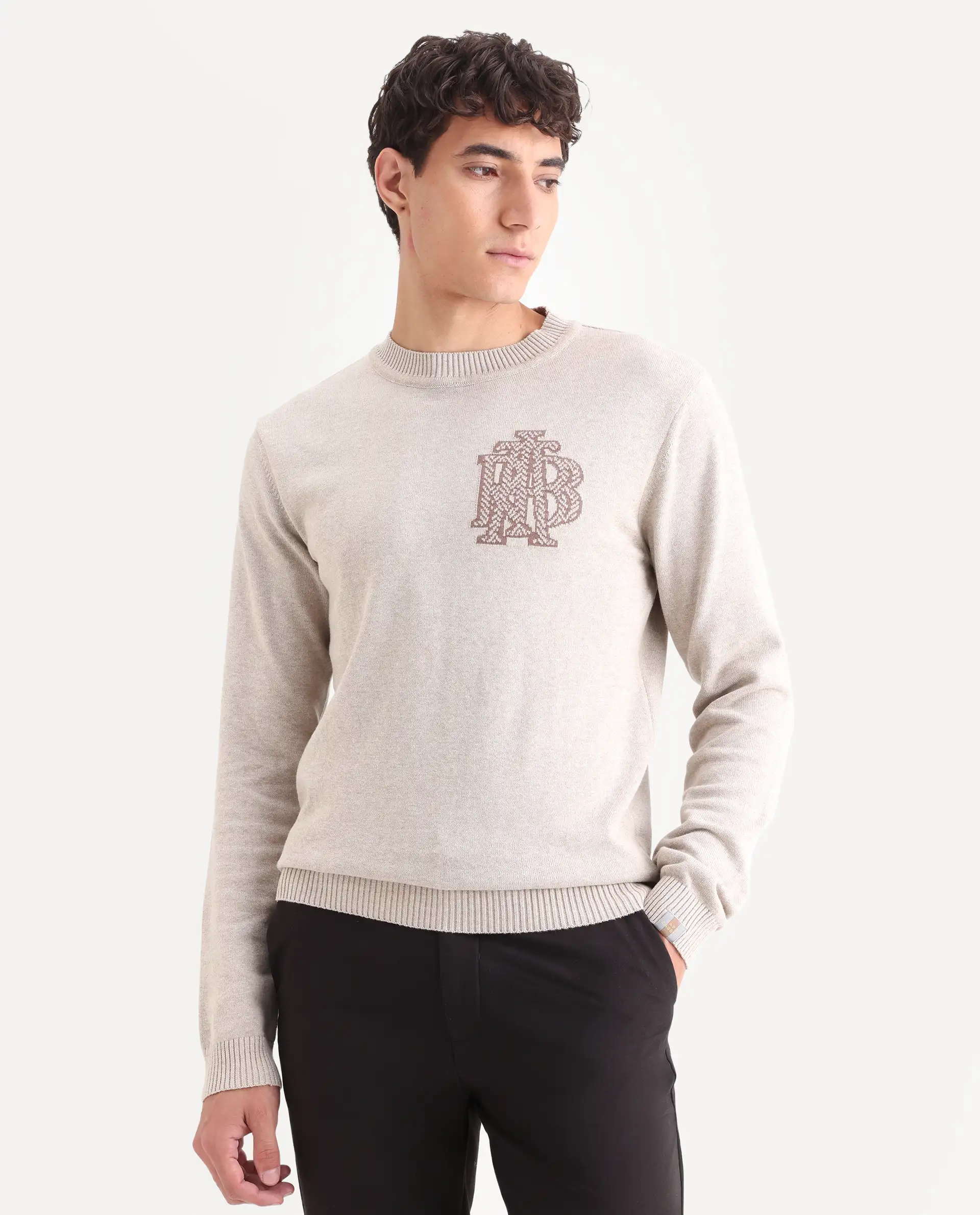 Rare Rabbit Men's Destin Beige Cotton Jacquard Regular Fit Full Sleeve Crew Neck Sweater - Image 3