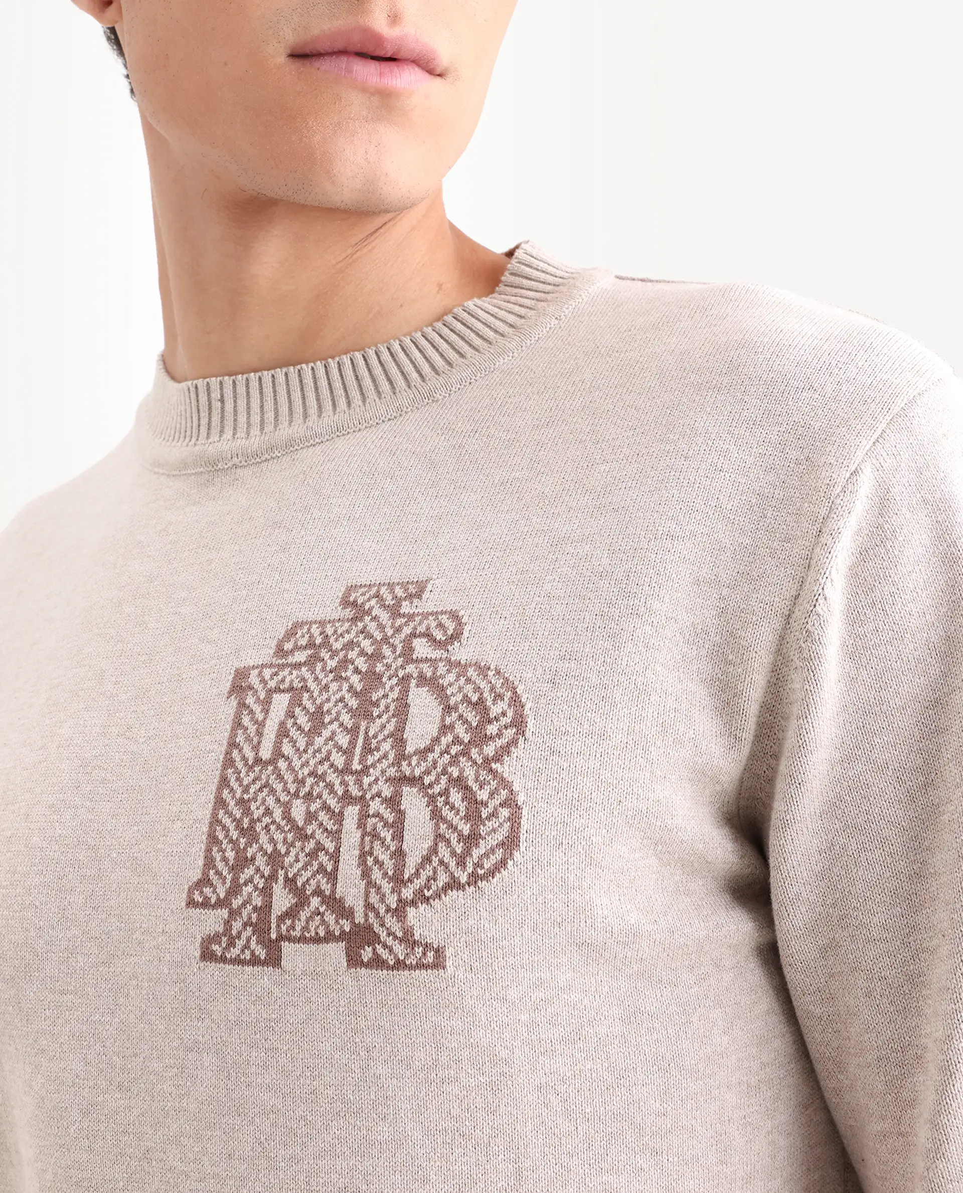 Rare Rabbit Men's Destin Beige Cotton Jacquard Regular Fit Full Sleeve Crew Neck Sweater - Image 4