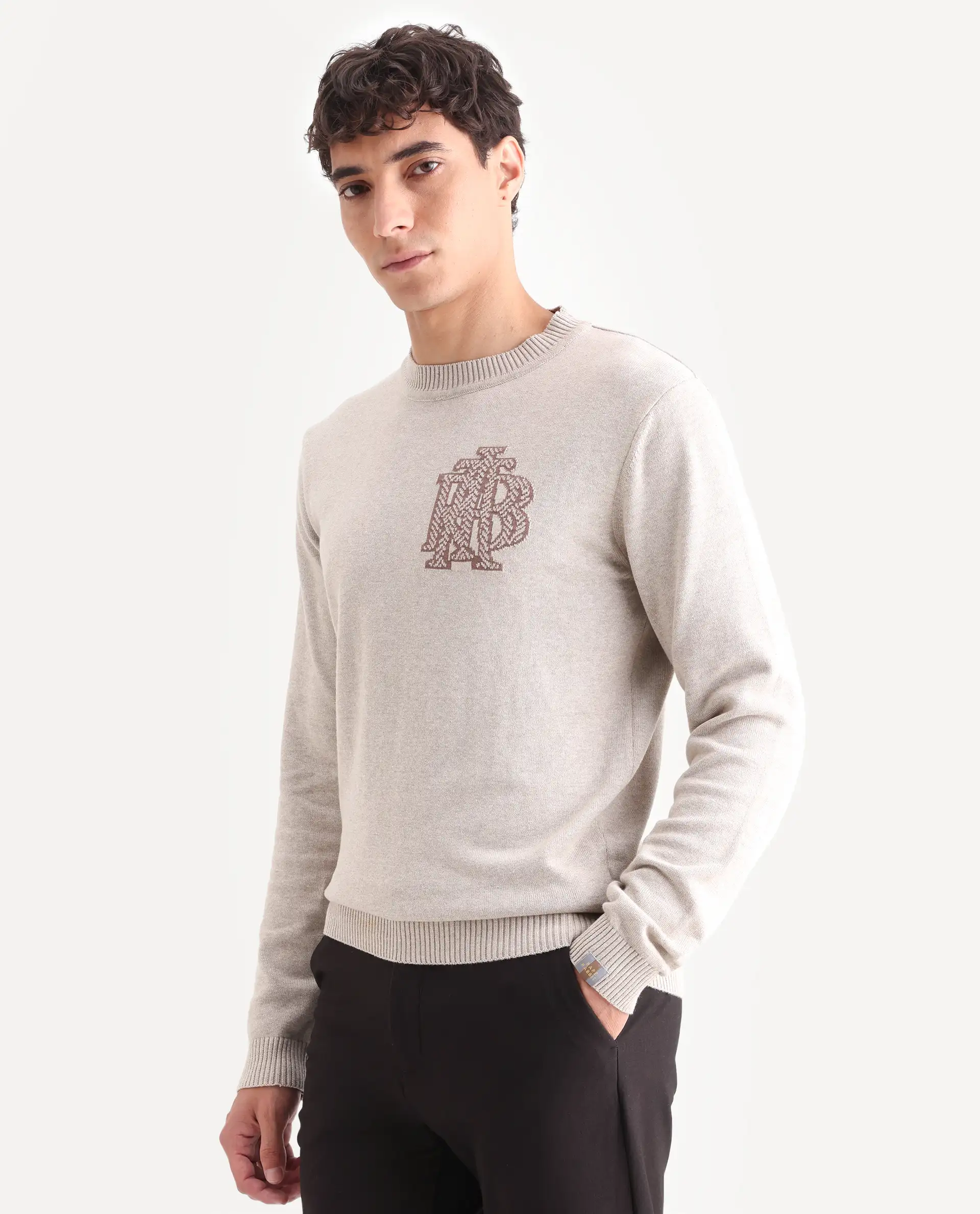 Rare Rabbit Men's Destin Beige Cotton Jacquard Regular Fit Full Sleeve Crew Neck Sweater - Image 5