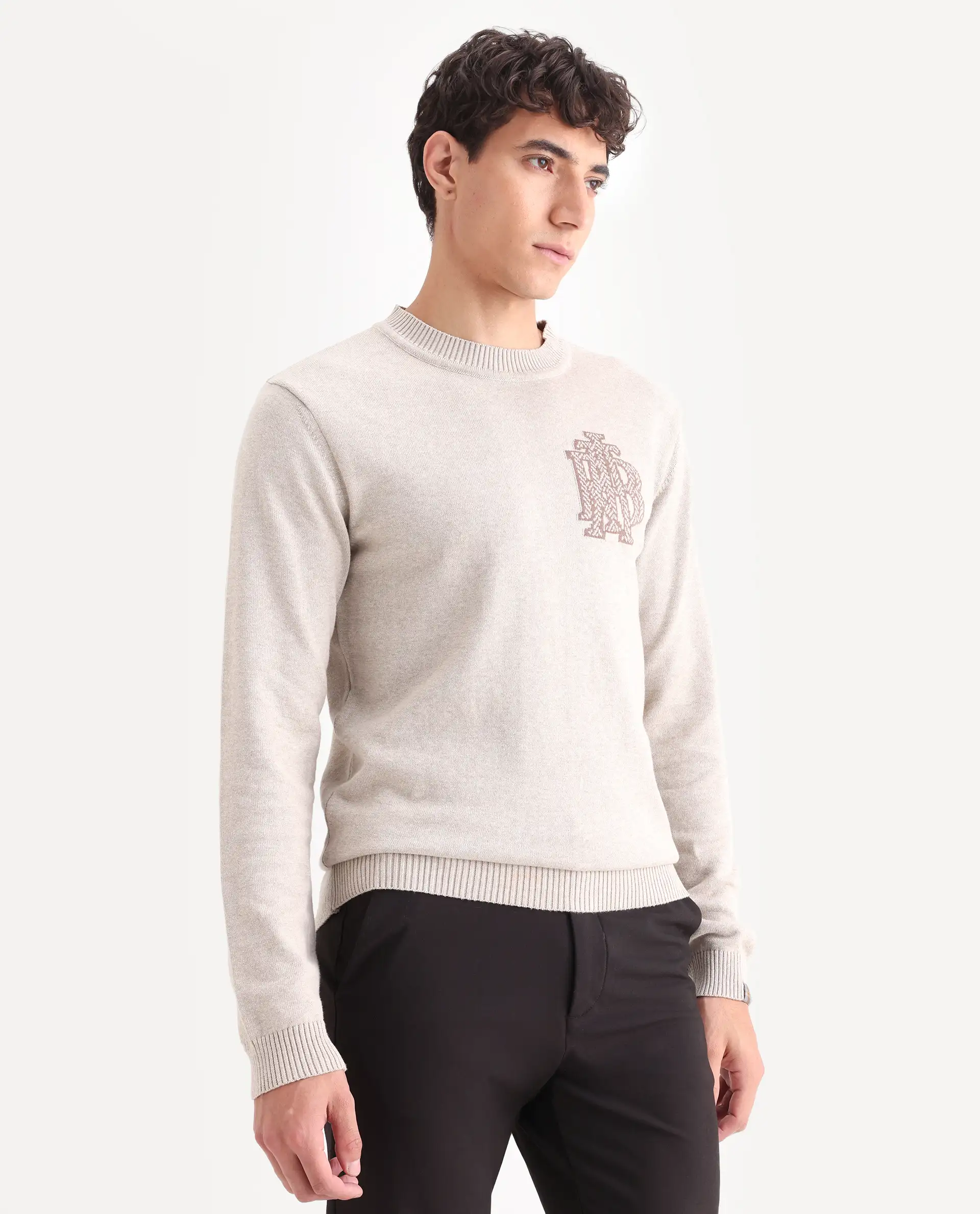 Rare Rabbit Men's Destin Beige Cotton Jacquard Regular Fit Full Sleeve Crew Neck Sweater - Image 6