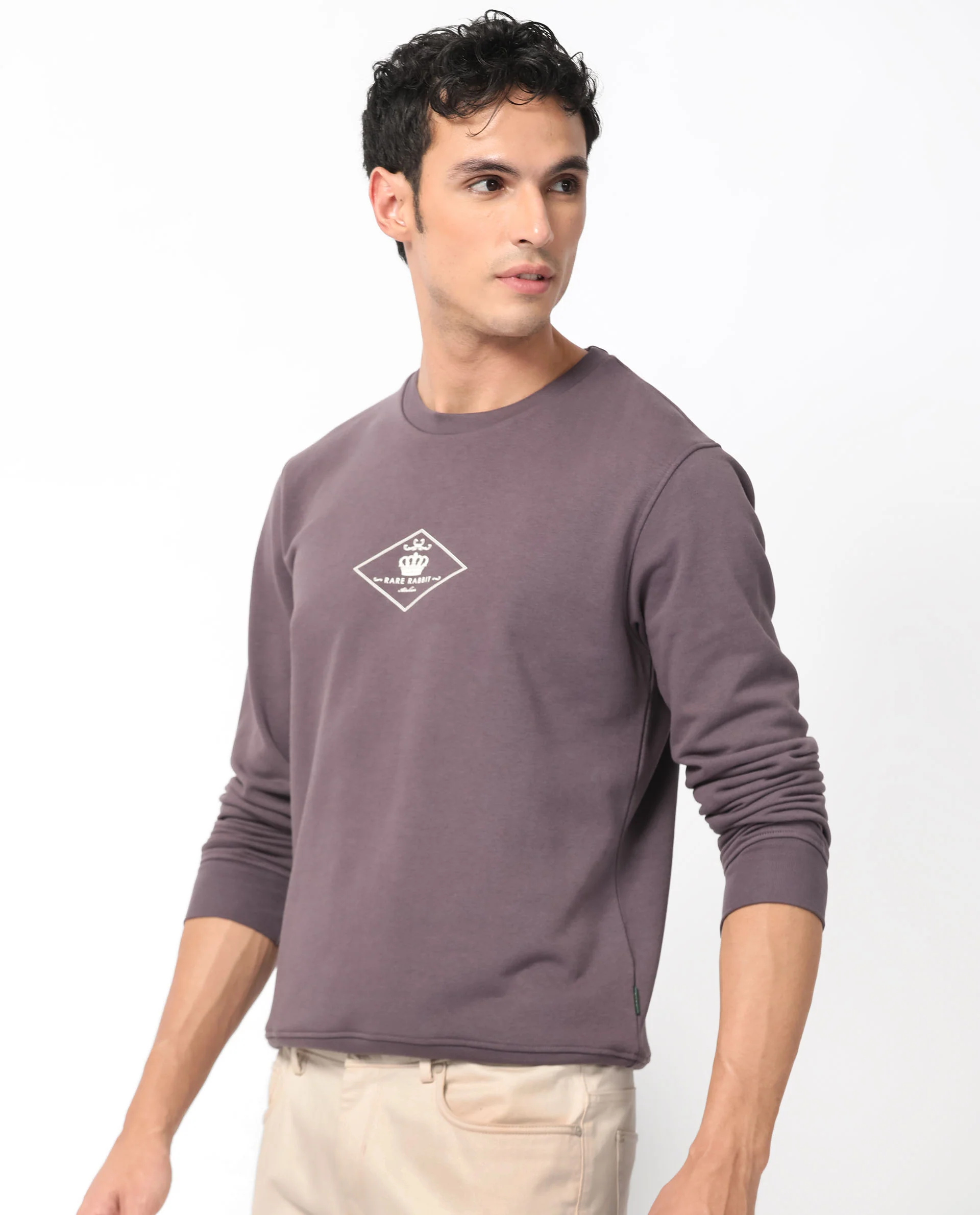 Rare Rabbit Men's Devonn Purple Cotton Graphic Print Regular Fit Full Sleeve Crew Neck Sweatshirt - Image 4