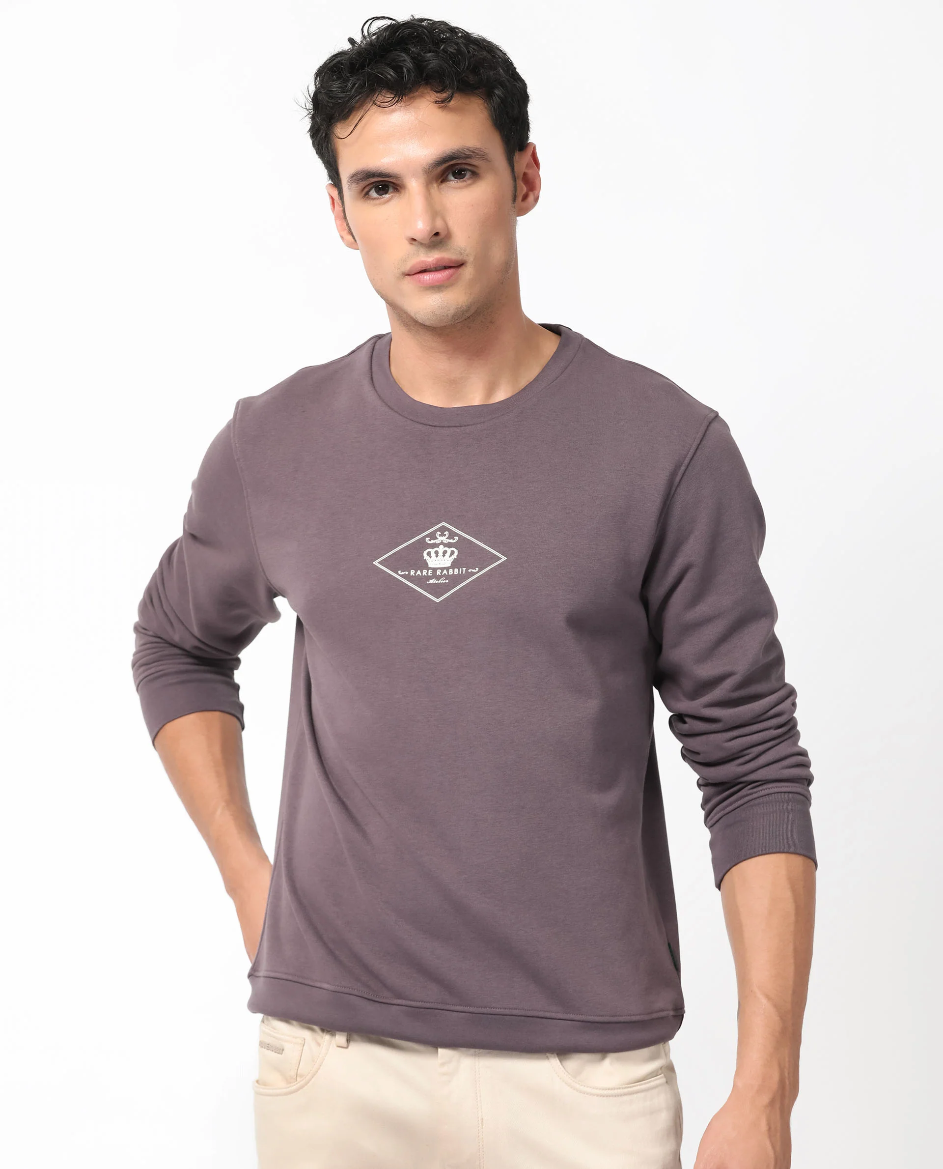 Rare Rabbit Men's Devonn Purple Cotton Graphic Print Regular Fit Full Sleeve Crew Neck Sweatshirt - Image 6